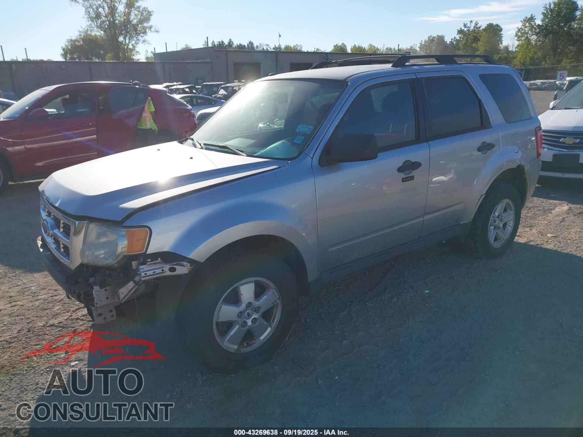 FORD ESCAPE 2010 - 1FMCU9DG4AKD31565