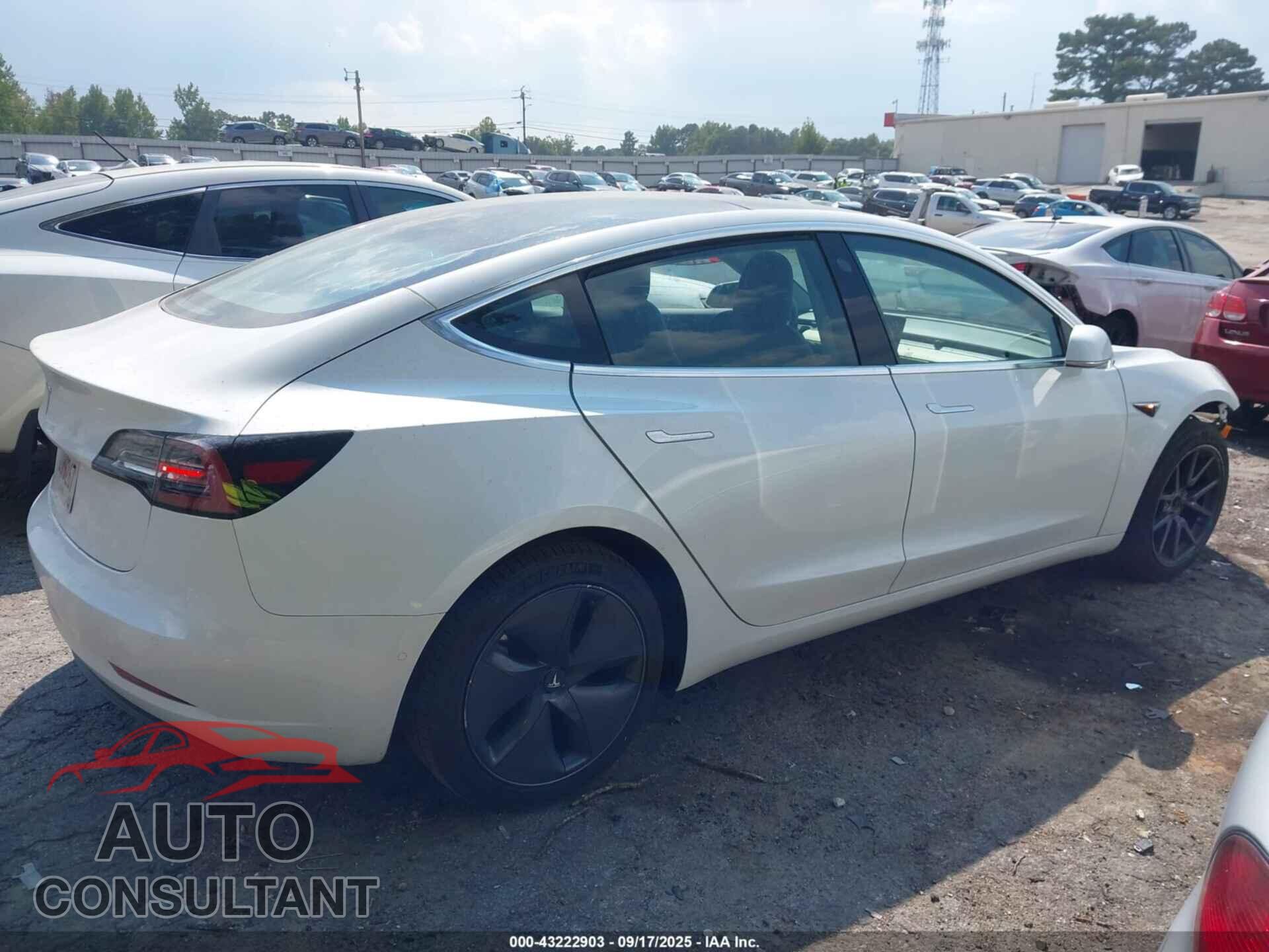 TESLA MODEL 3 2019 - 5YJ3E1EA8KF482825