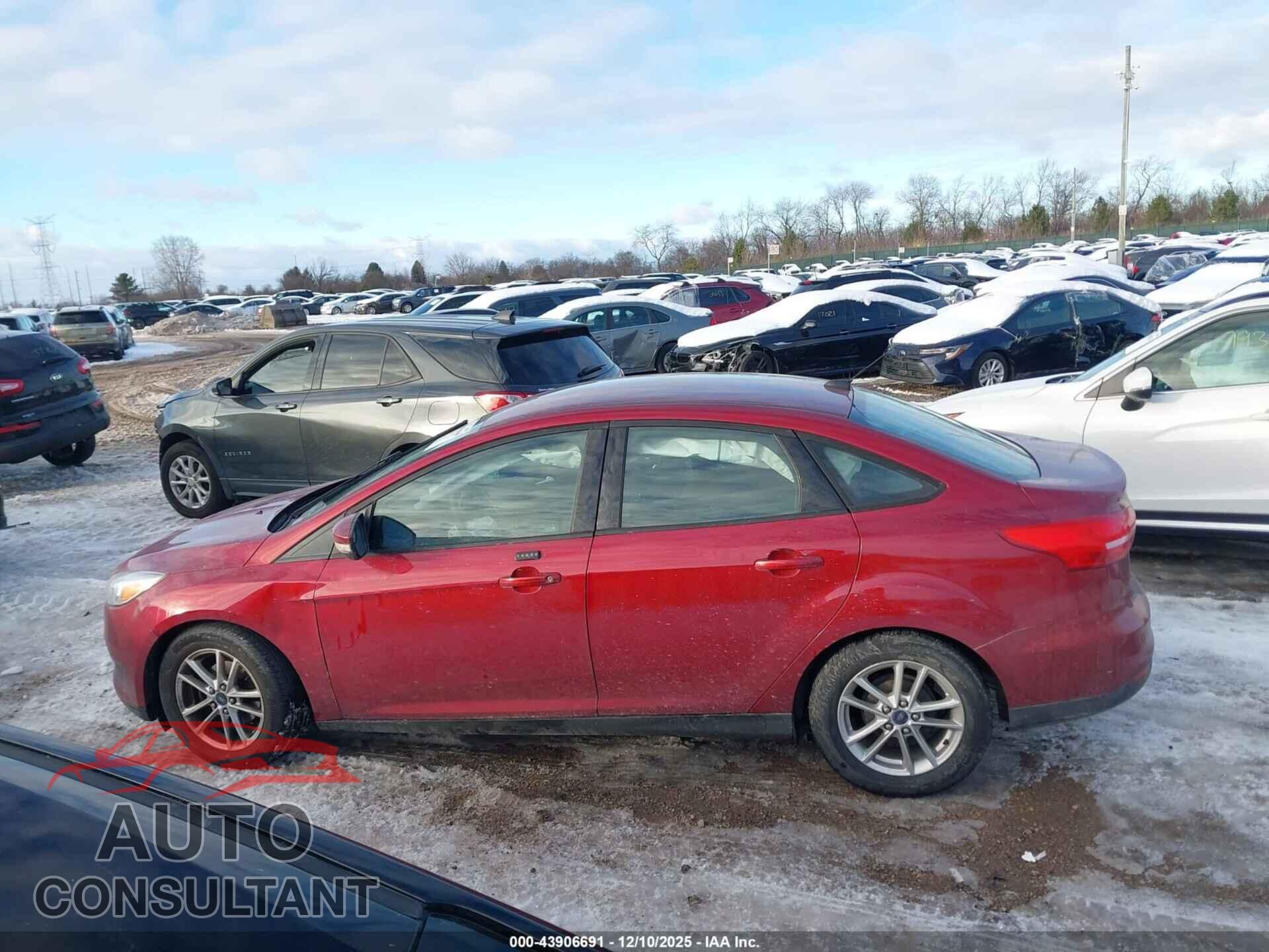 FORD FOCUS 2016 - 1FADP3F29GL232795