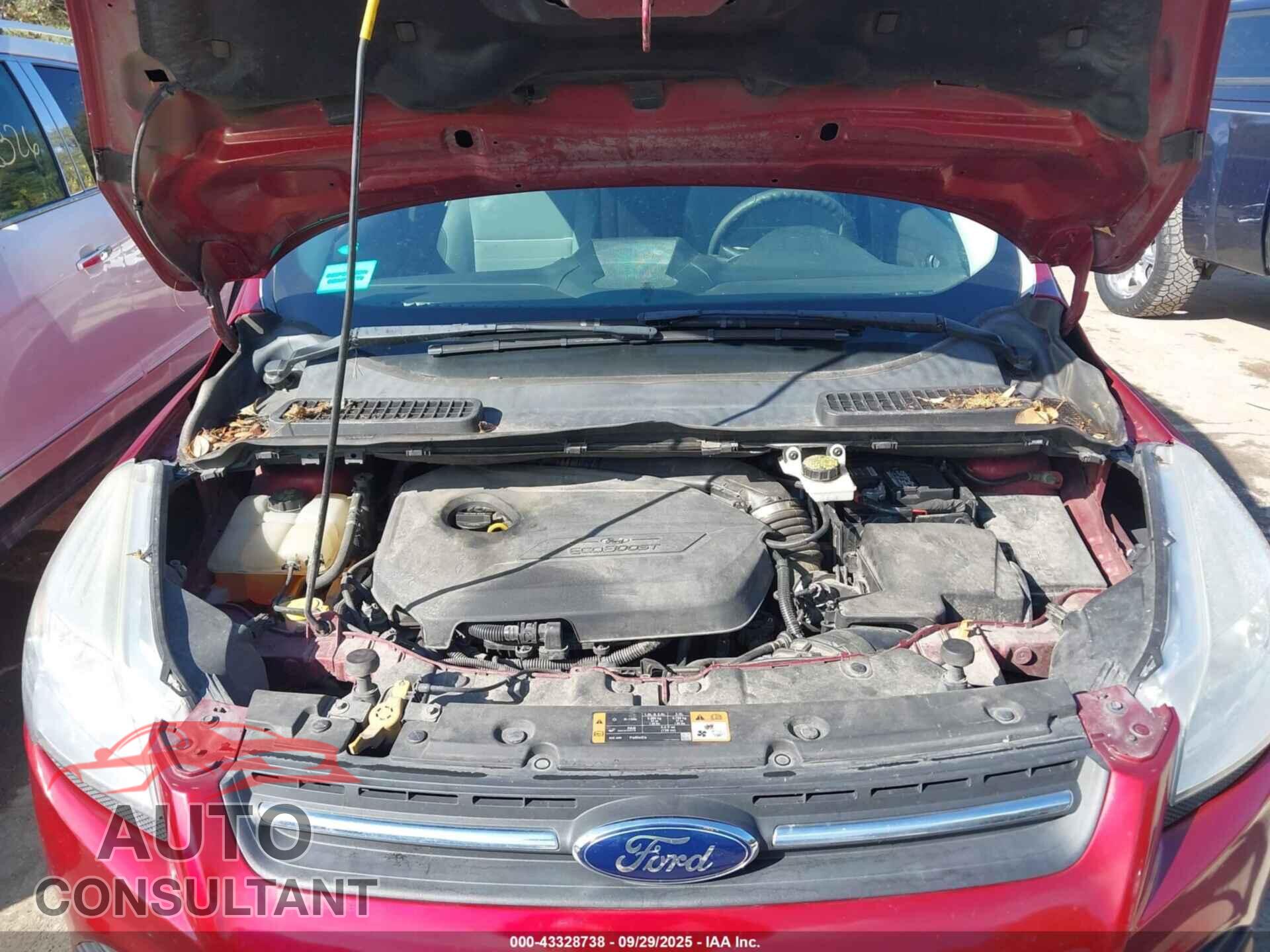 FORD ESCAPE 2014 - 1FMCU0GX8EUC28456