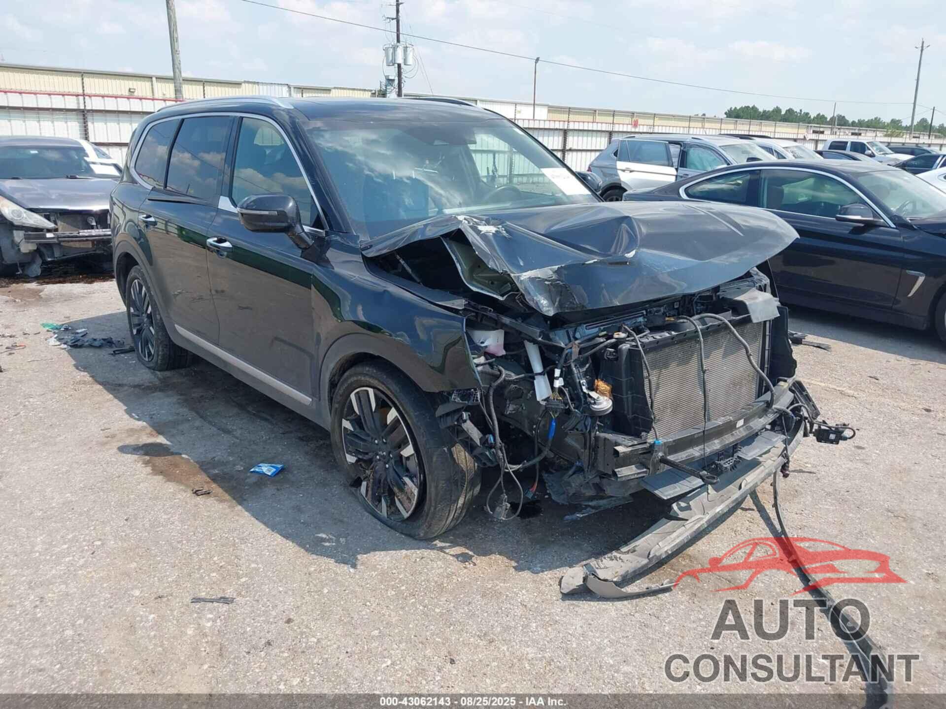 KIA TELLURIDE 2024 - 5XYP5DGC7RG408137