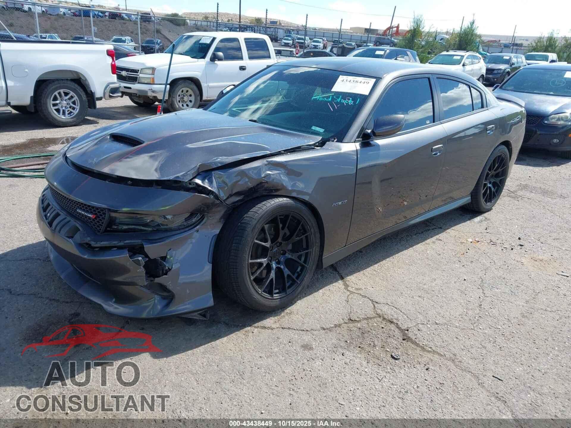 DODGE CHARGER 2019 - 2C3CDXCTXKH737113