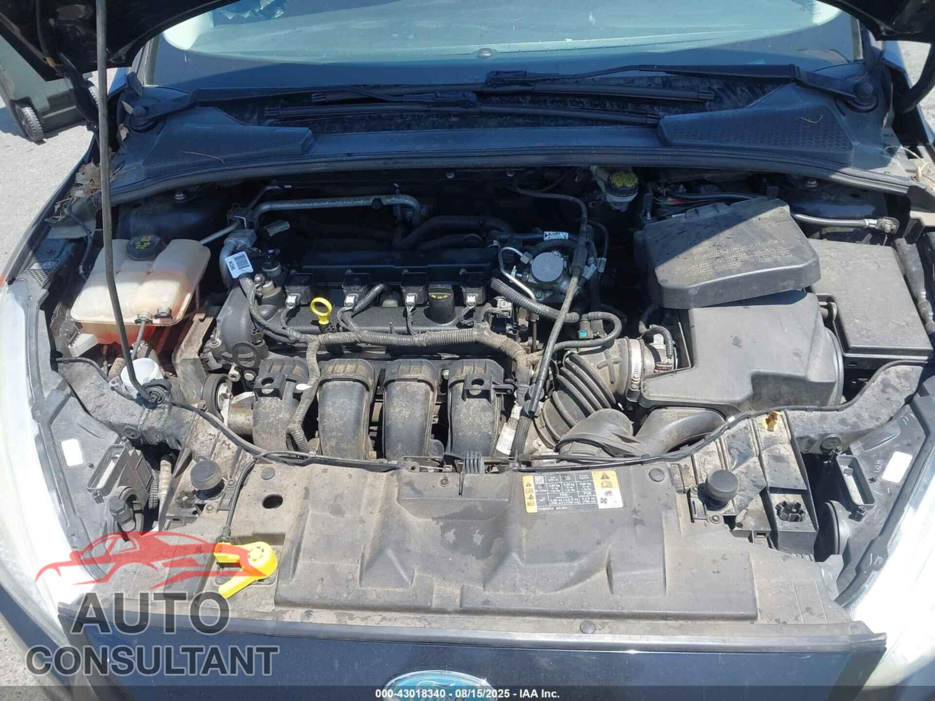 FORD FOCUS 2016 - 1FADP3E28GL325034