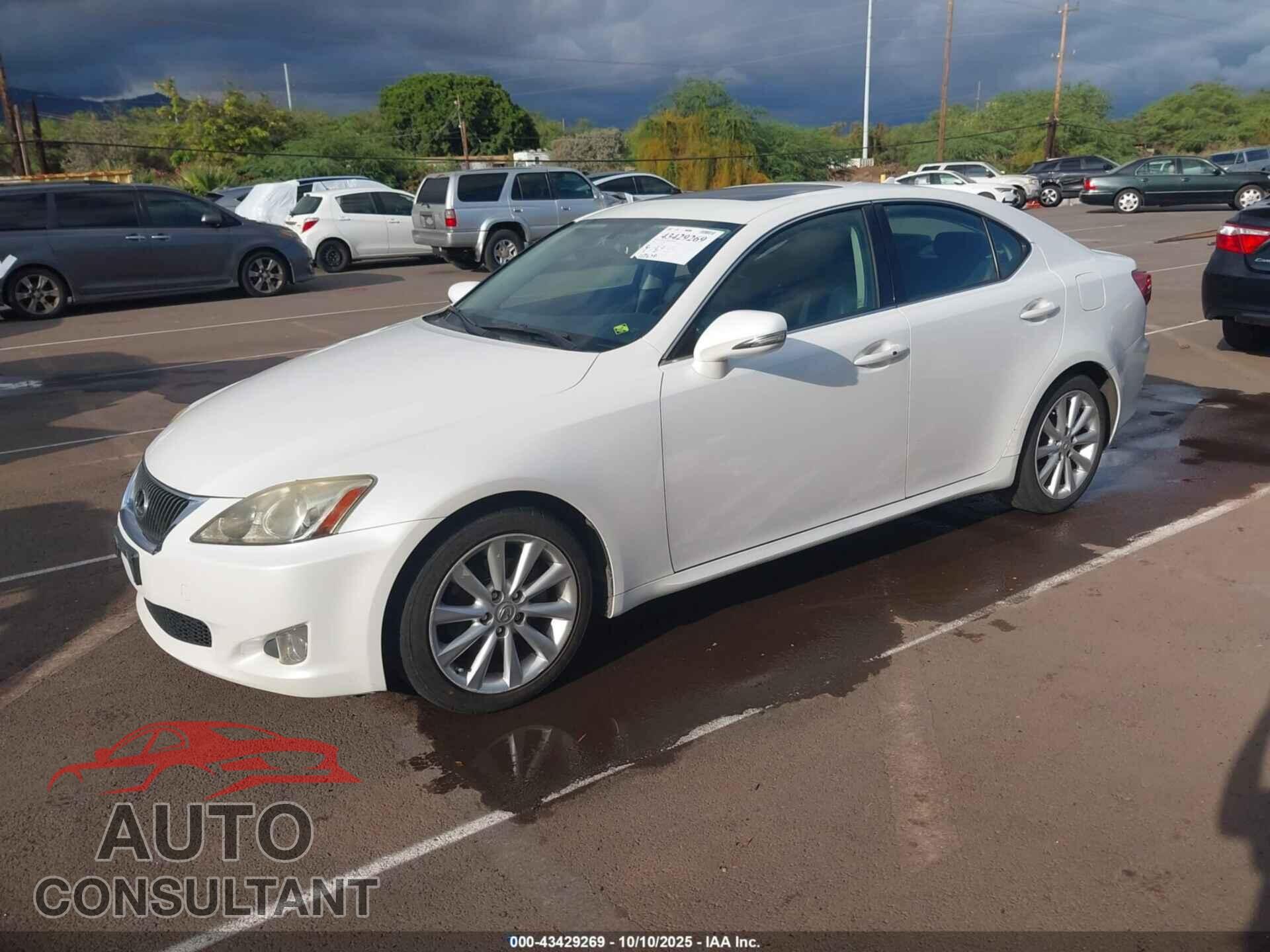 LEXUS IS 250 2009 - JTHBK262195091902