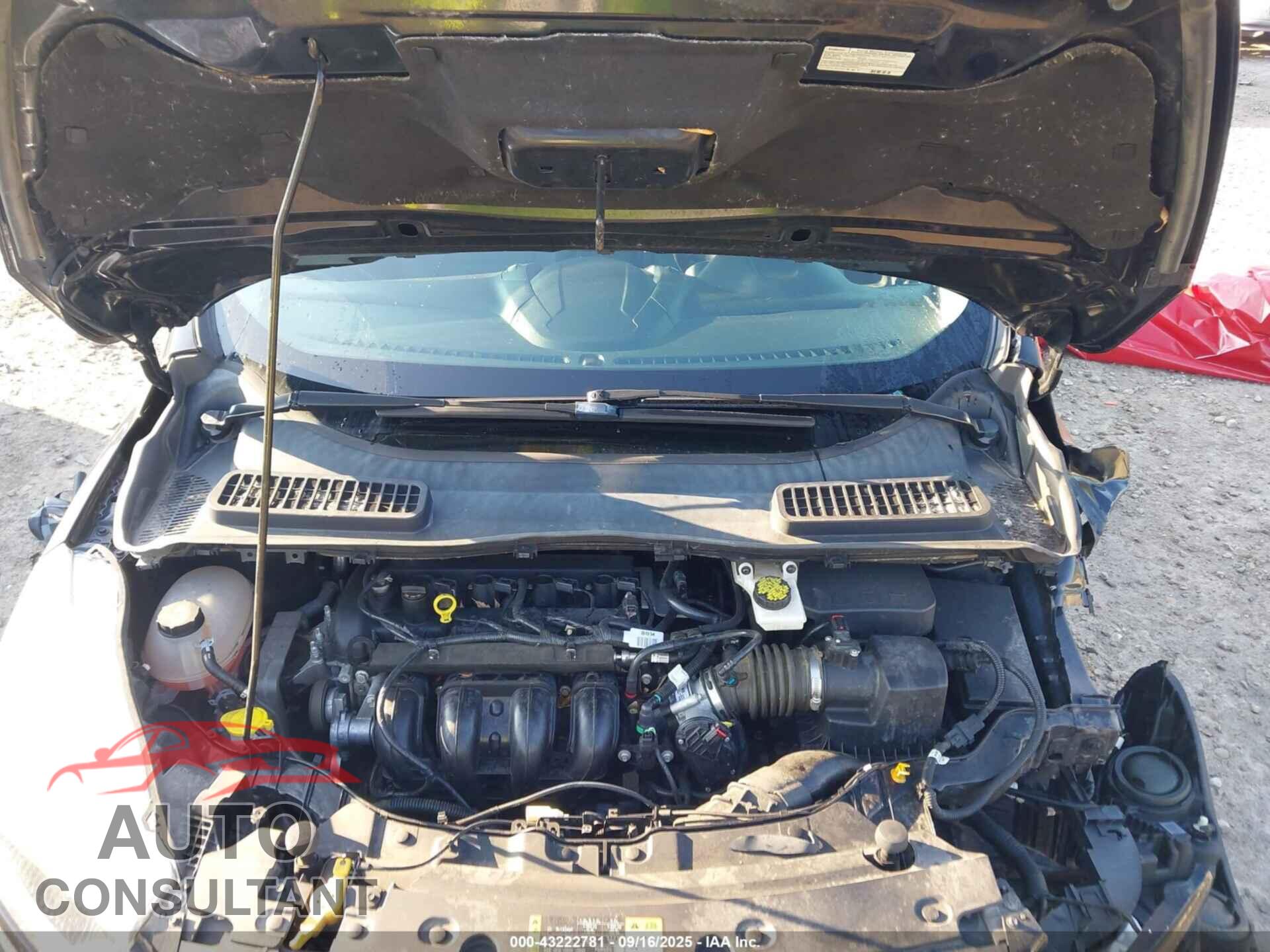 FORD ESCAPE 2017 - 1FMCU0F72HUB75288