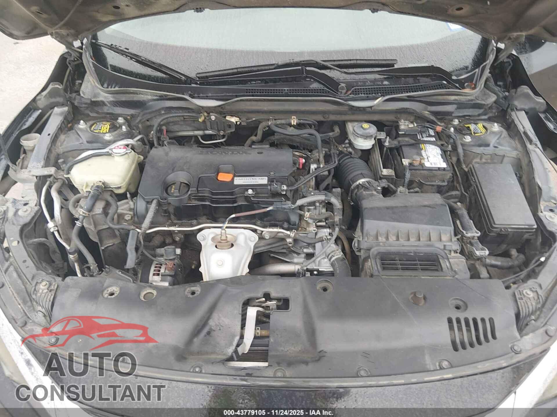 HONDA CIVIC 2016 - 2HGFC2F58GH513584