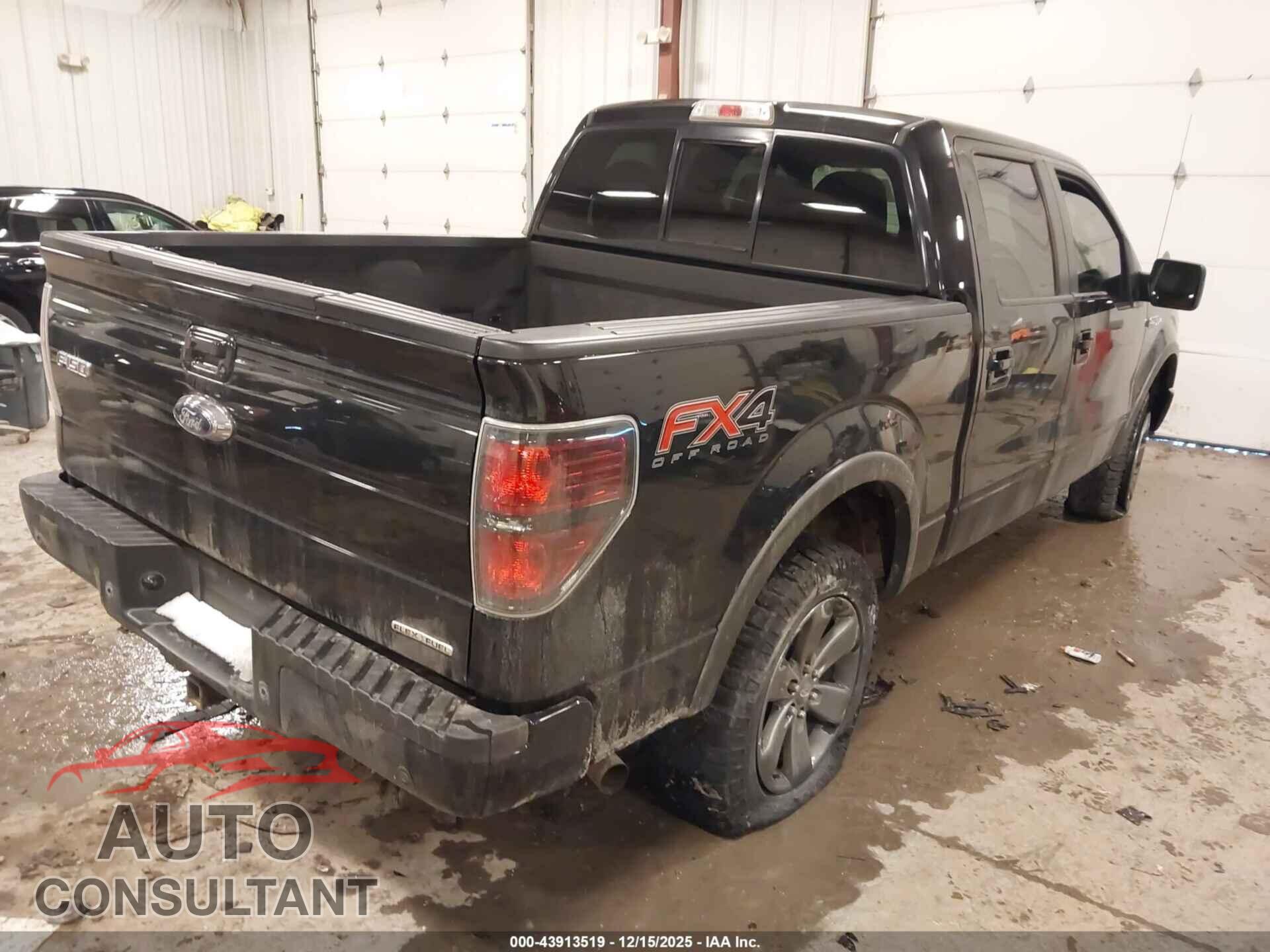 FORD F-150 2013 - 1FTFW1EF7DFD20205