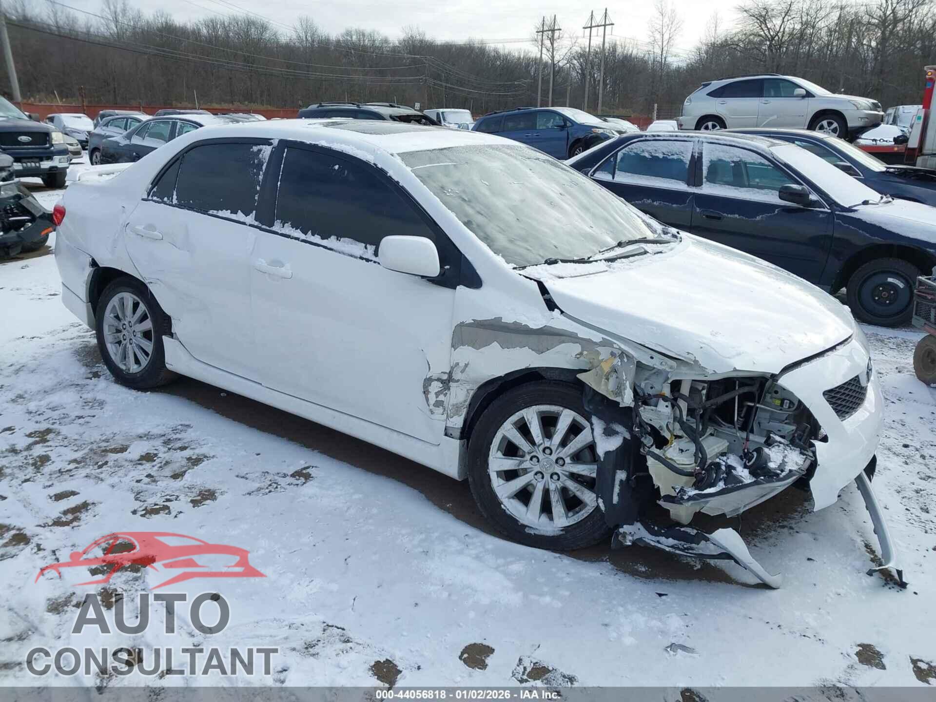 TOYOTA COROLLA 2010 - 2T1BU4EEXAC466020