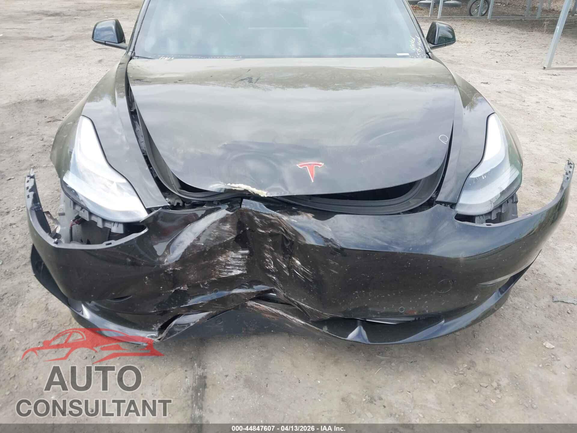 TESLA MODEL 3 2021 - 5YJ3E1ECXMF061905