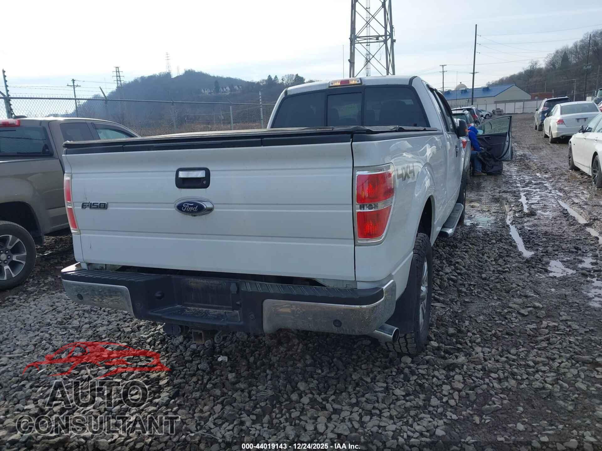 FORD F-150 2014 - 1FTFX1ET7EKD29692