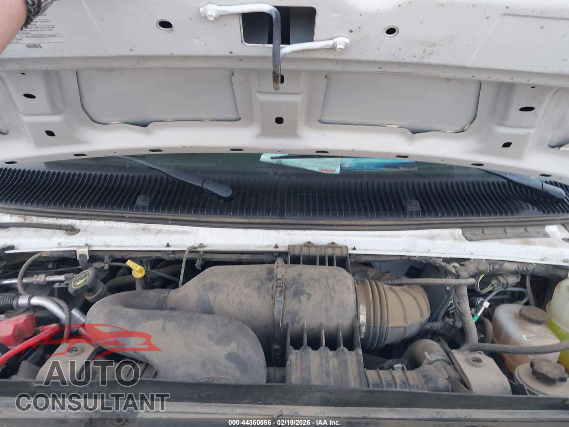 FORD E-450 CUTAWAY 2019 - 1FDXE4FS8KDC06285
