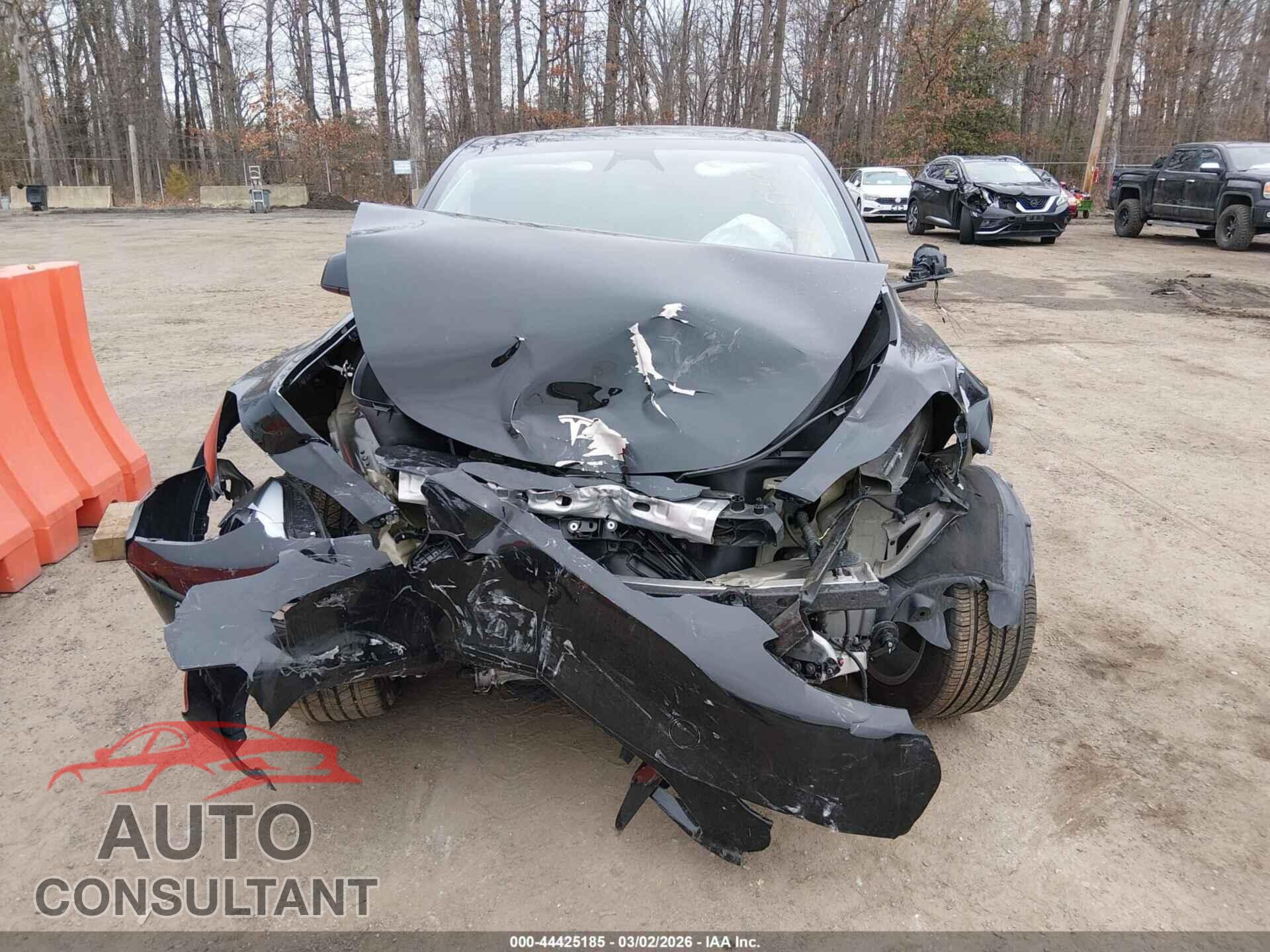 TESLA MODEL Y 2024 - 7SAYGAEE1RF035883