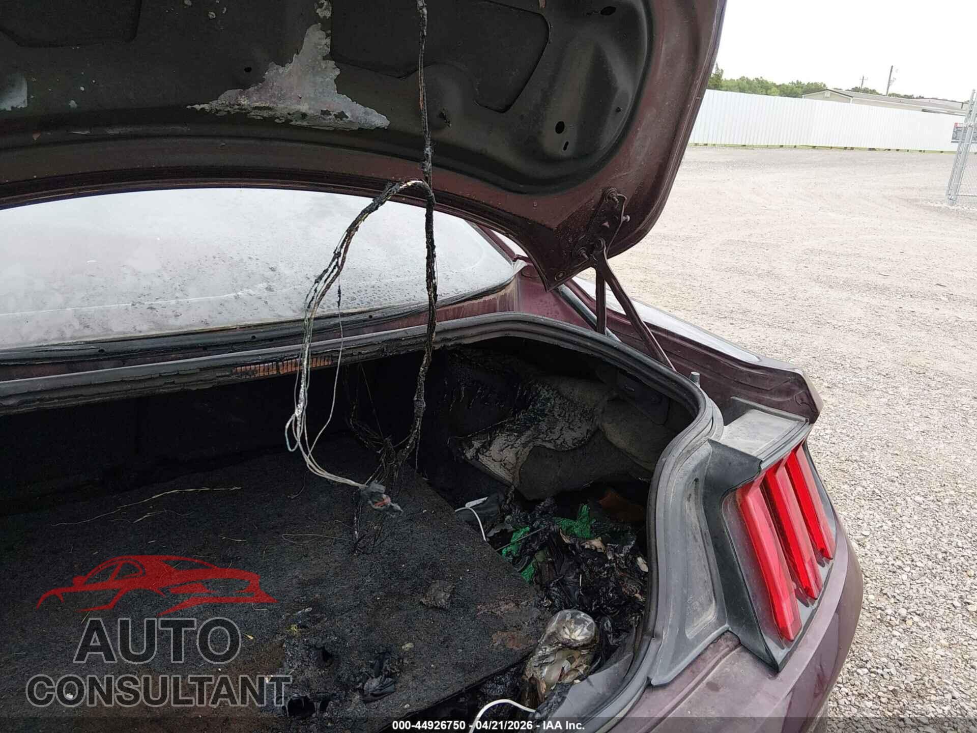 FORD MUSTANG 2018 - 1FA6P8CF2J5144342