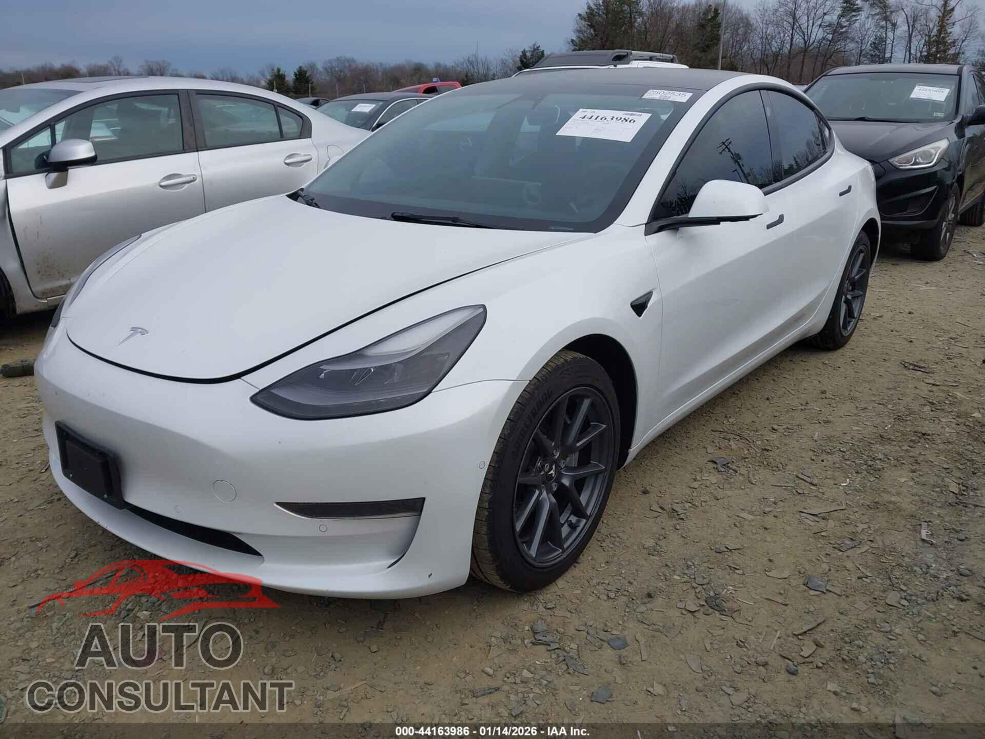 TESLA MODEL 3 2021 - 5YJ3E1EA3MF092783