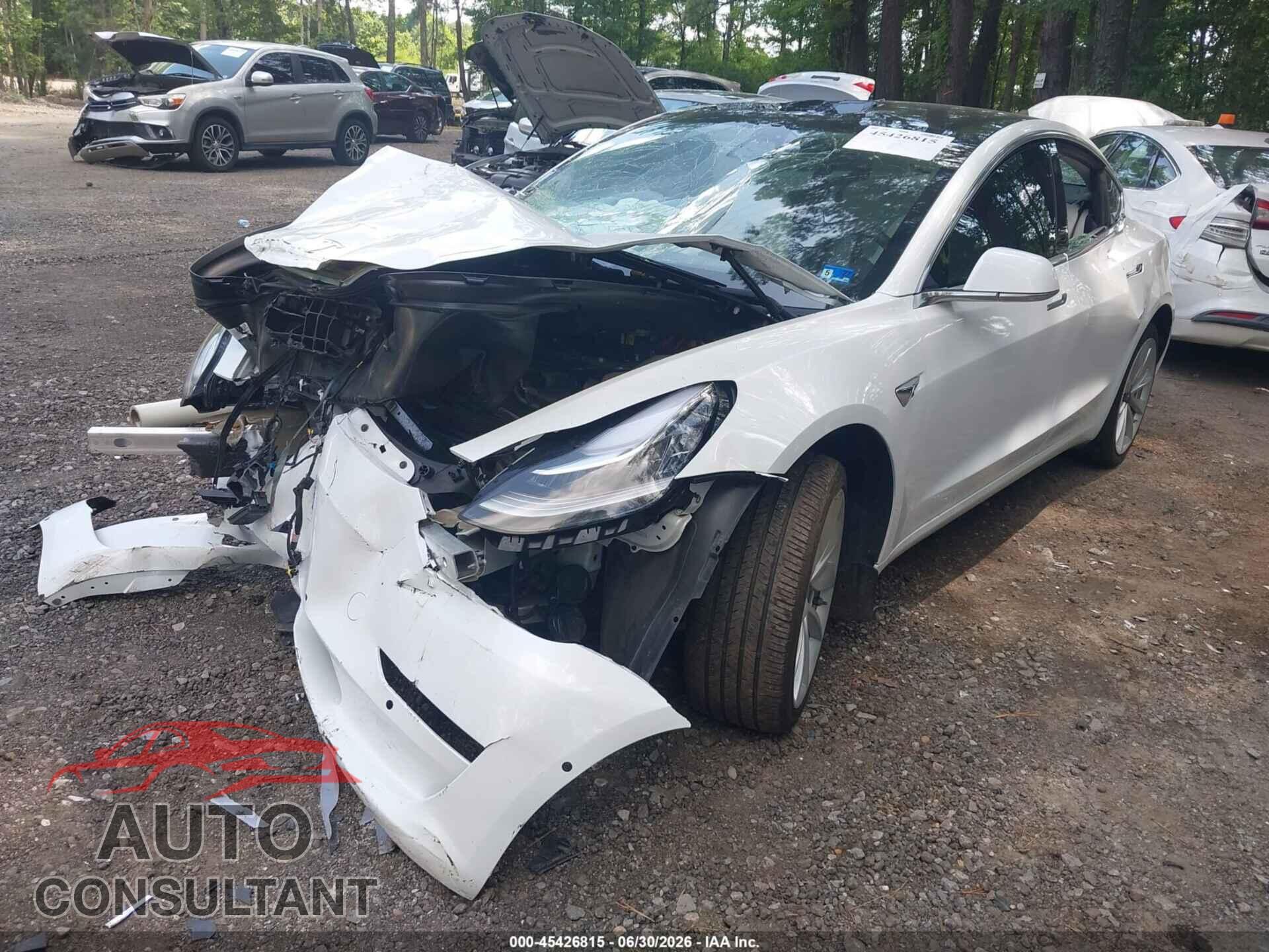 TESLA MODEL 3 2019 - 5YJ3E1EA0KF445073