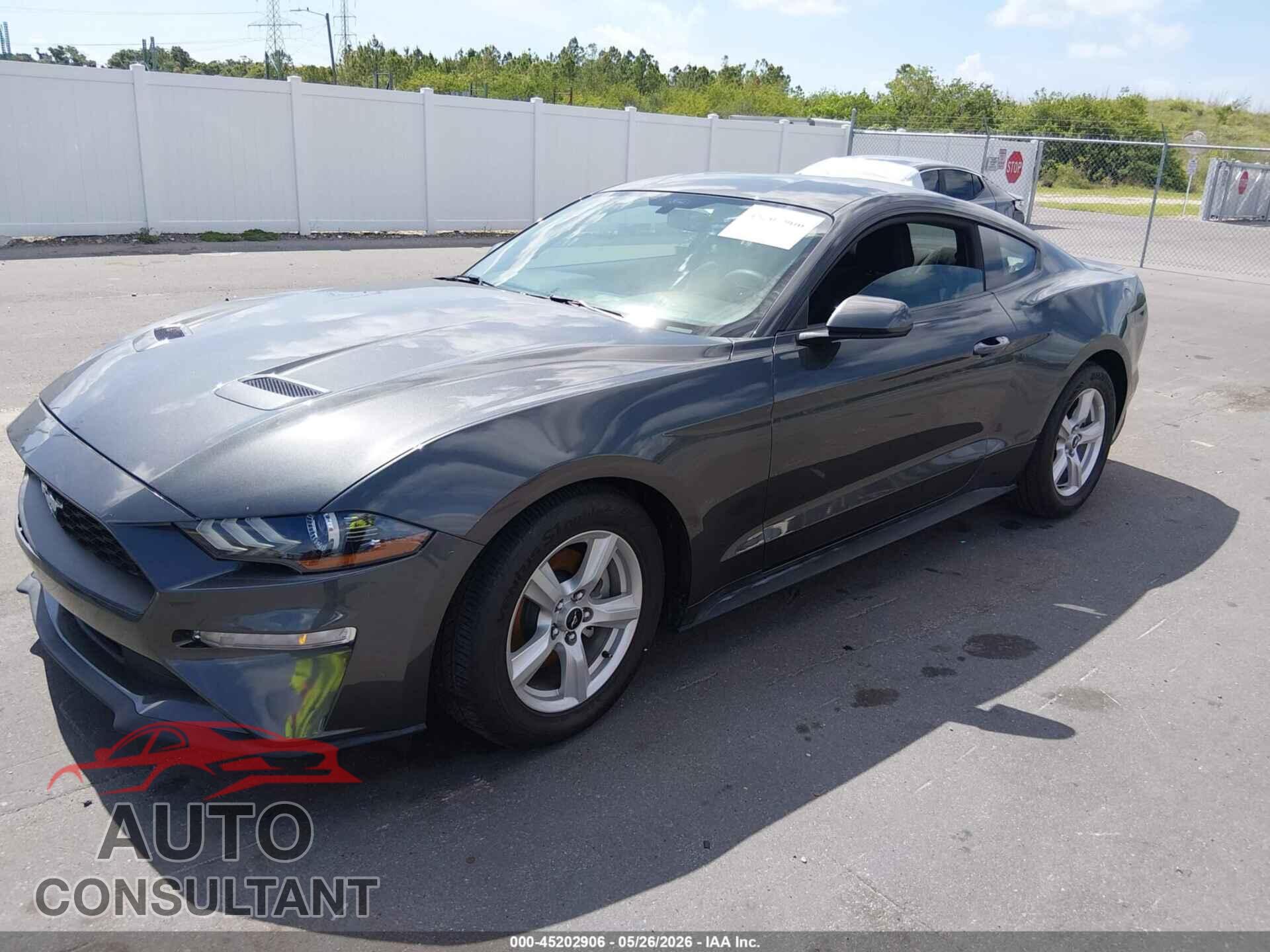 FORD MUSTANG 2019 - 1FA6P8TH8K5122350