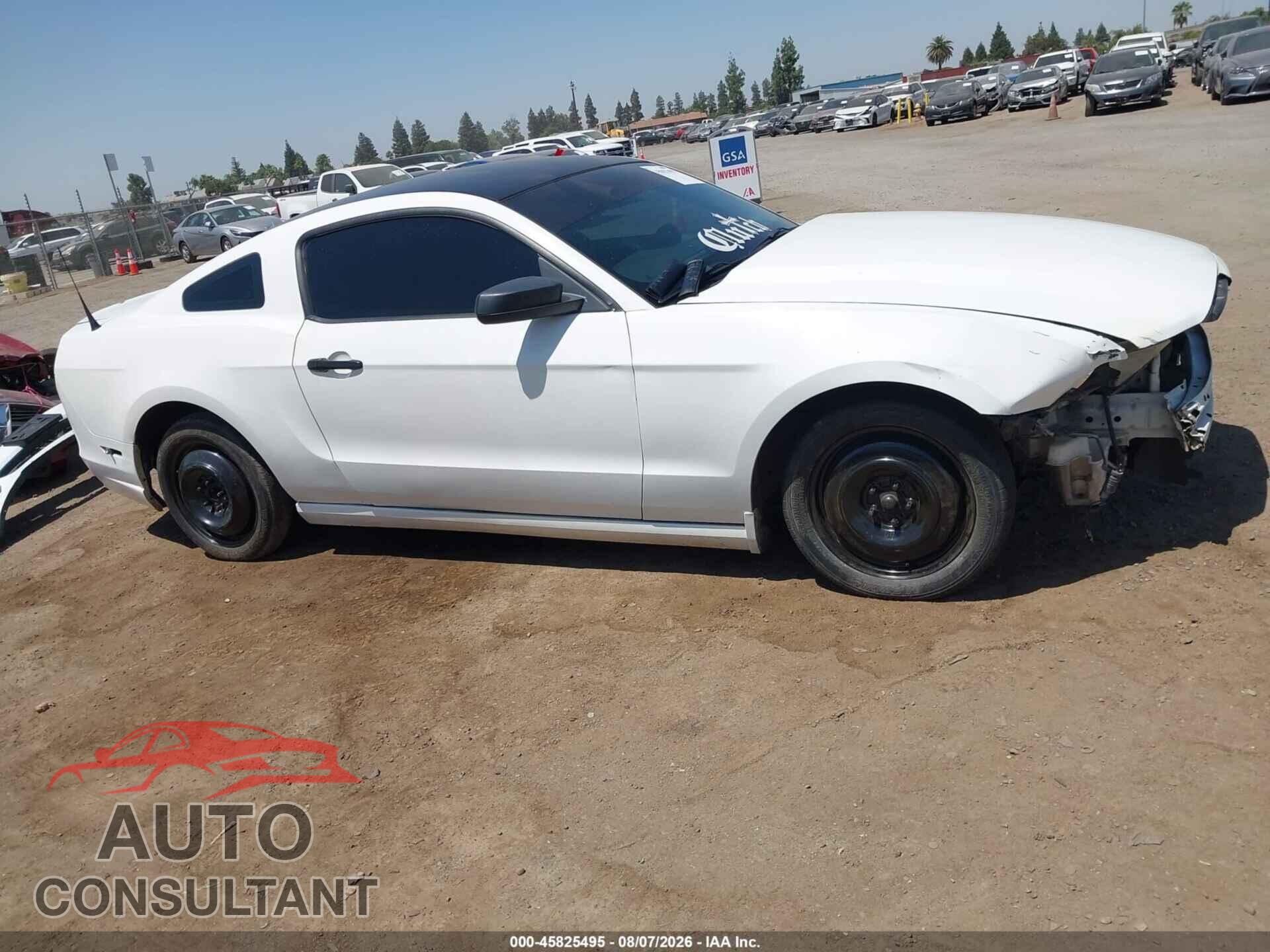 FORD MUSTANG 2013 - 1ZVBP8AM8D5246563
