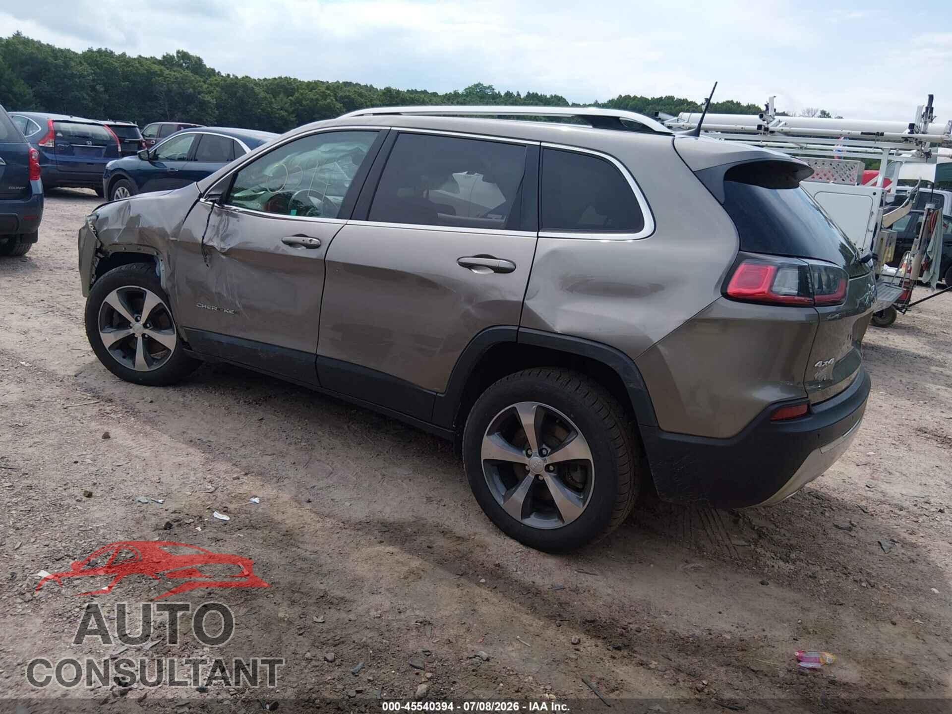 JEEP CHEROKEE 2019 - 1C4PJMDX2KD178076