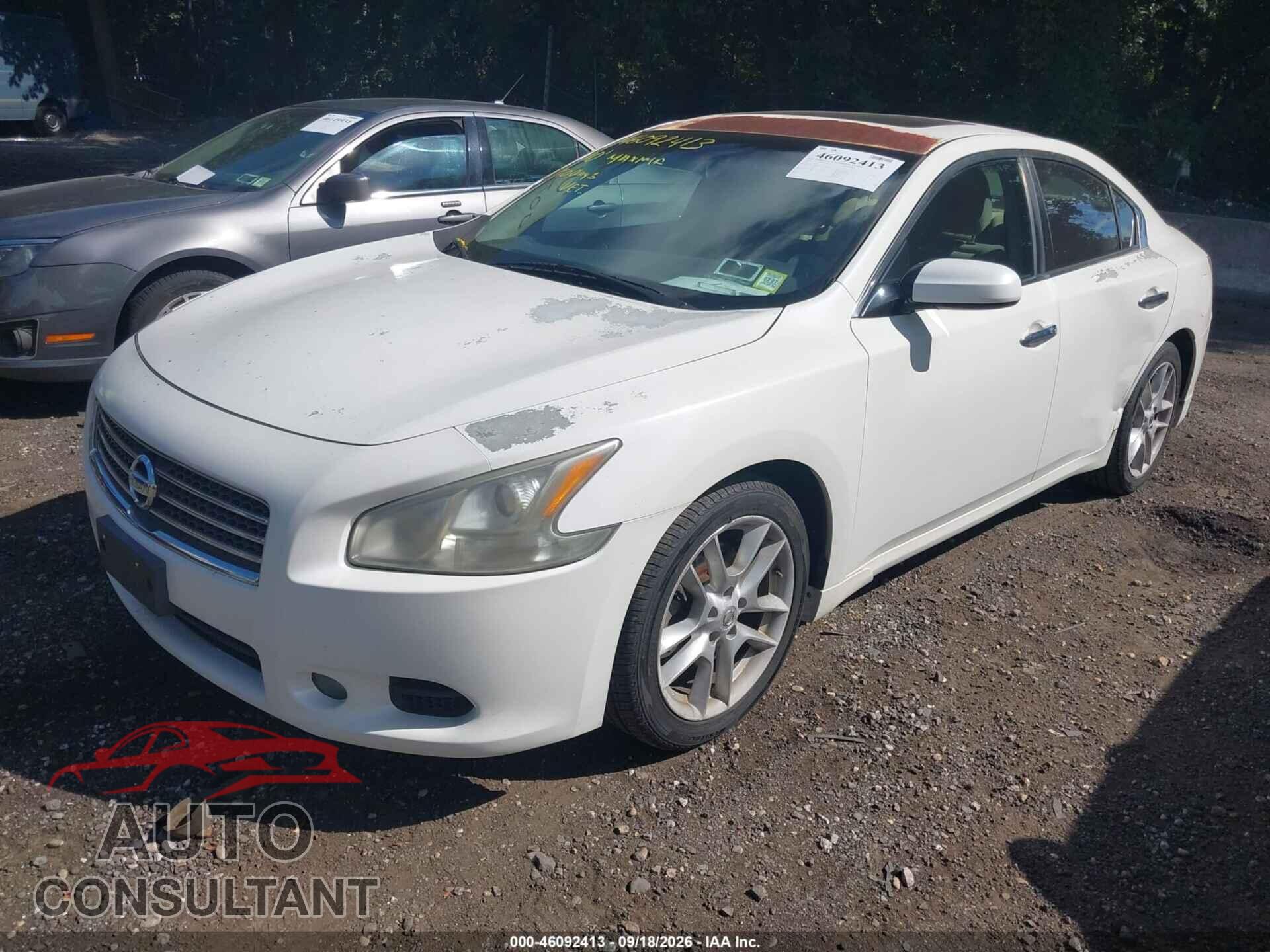 NISSAN MAXIMA 2010 - 1N4AA5AP1AC821480