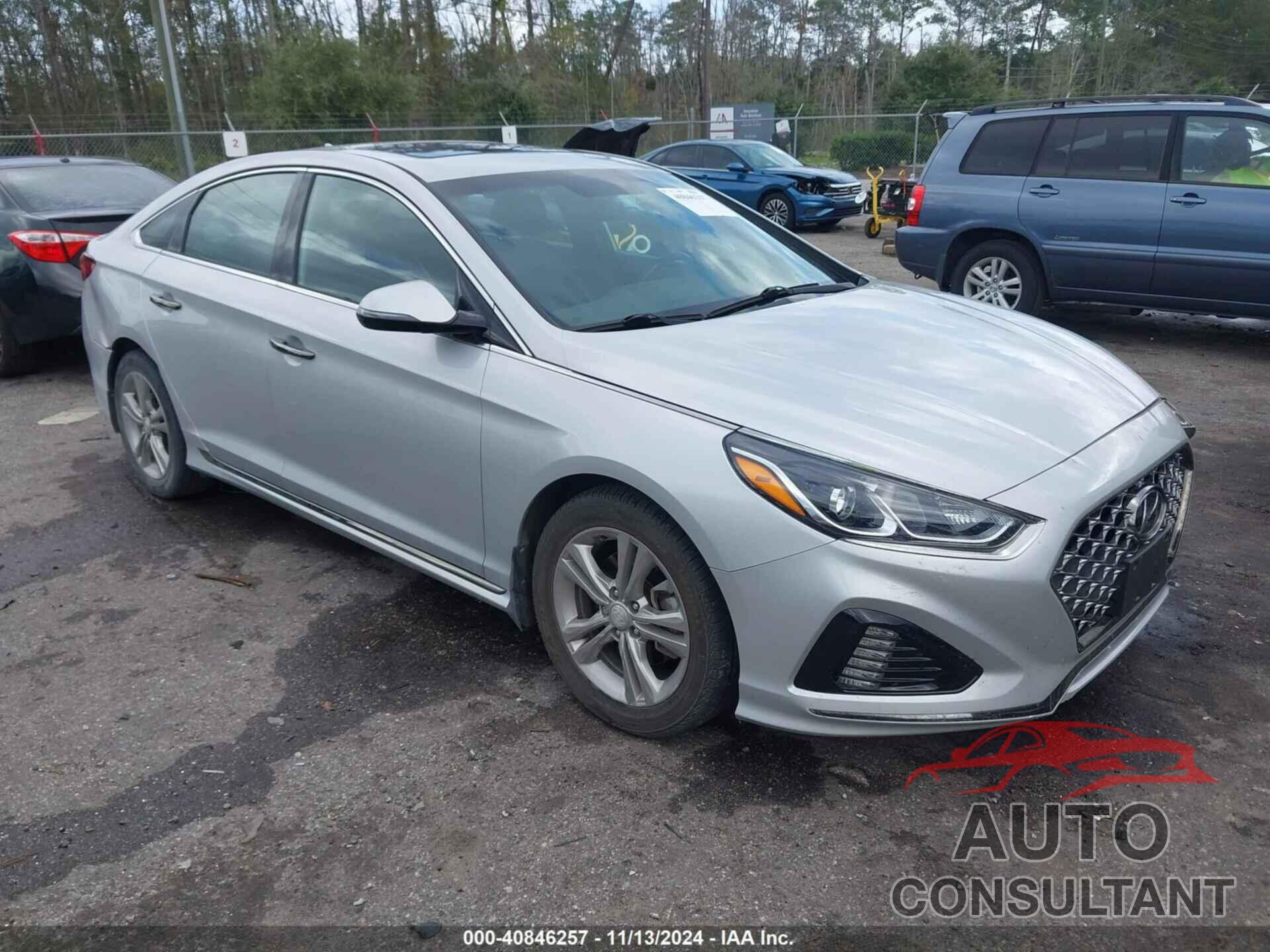HYUNDAI SONATA 2019 - 5NPE34AF8KH816550