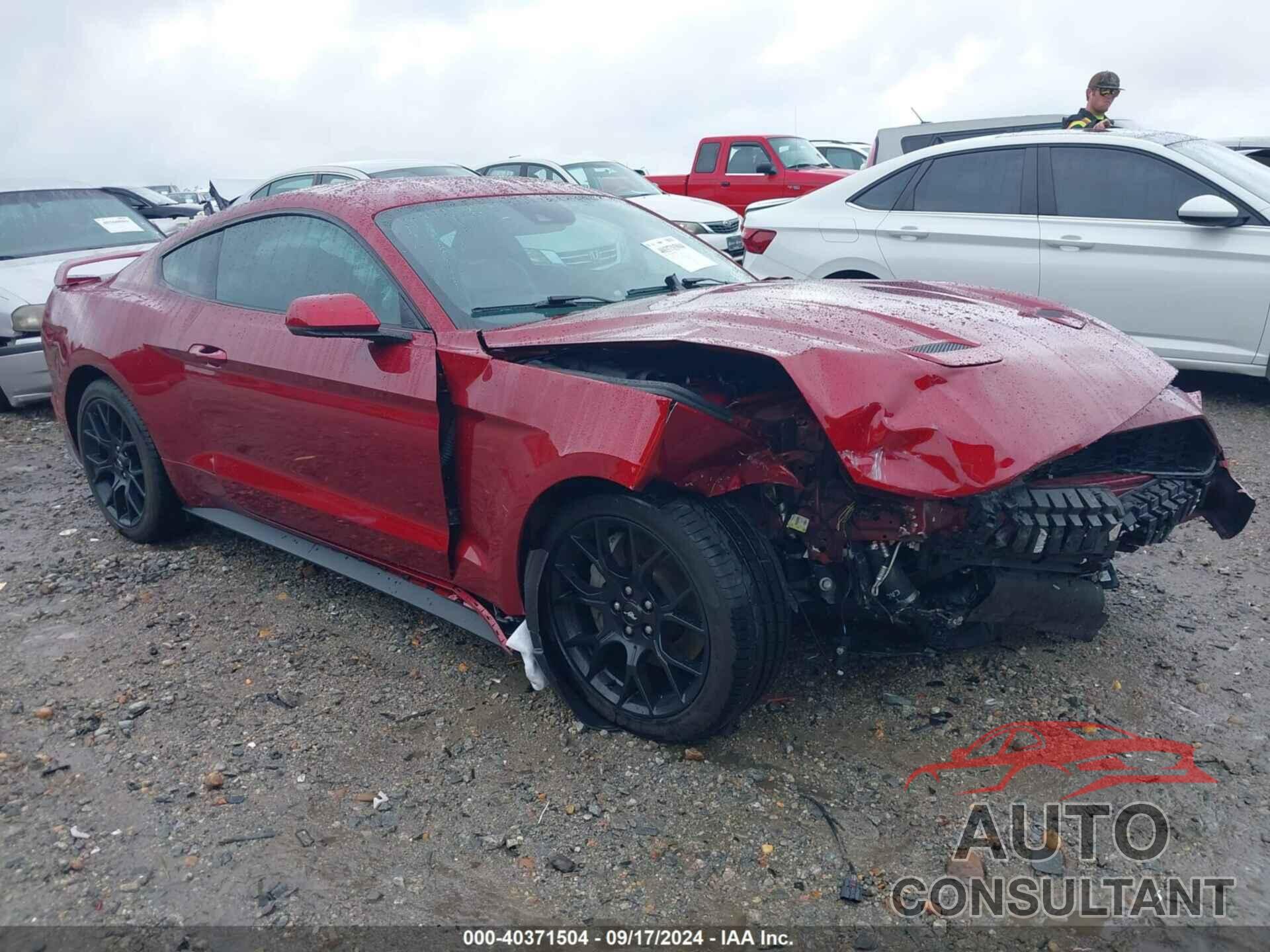 FORD MUSTANG 2019 - 1FA6P8TH3K5154087