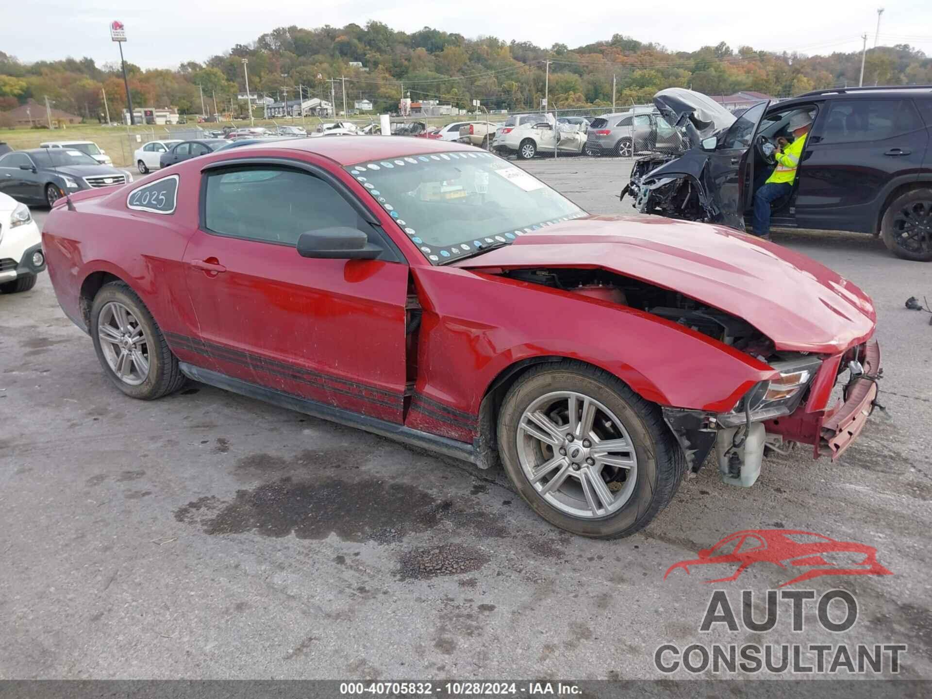 FORD MUSTANG 2010 - 1ZVBP8AN4A5101993