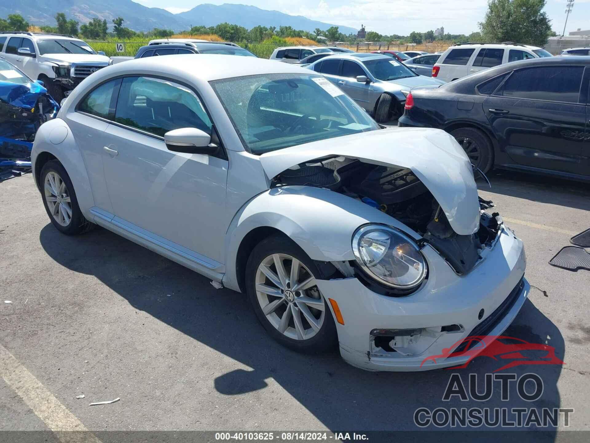 VOLKSWAGEN BEETLE 2018 - 3VWFD7AT6JM714078