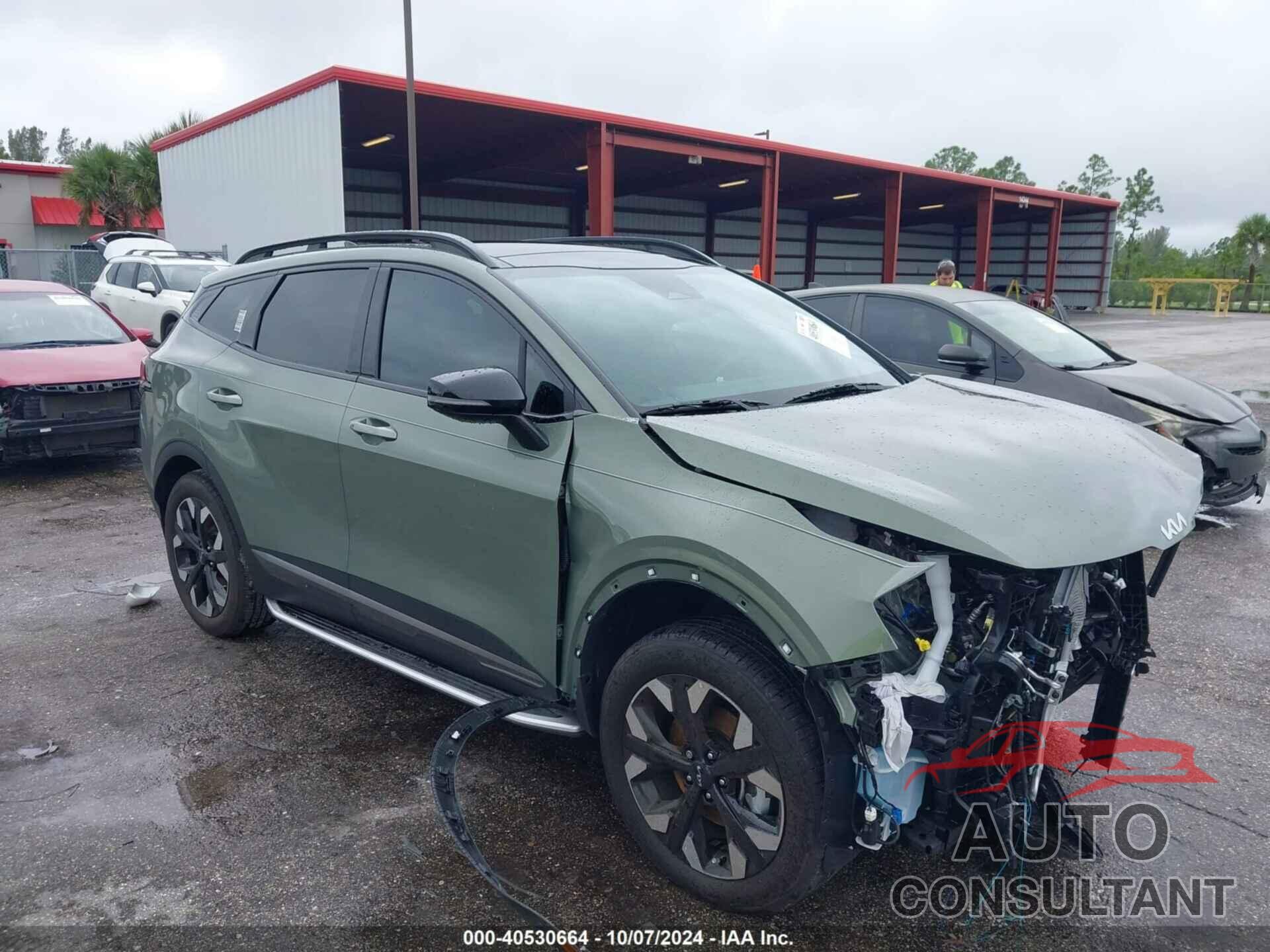 KIA SPORTAGE 2024 - 5XYK6CDF5RG189551