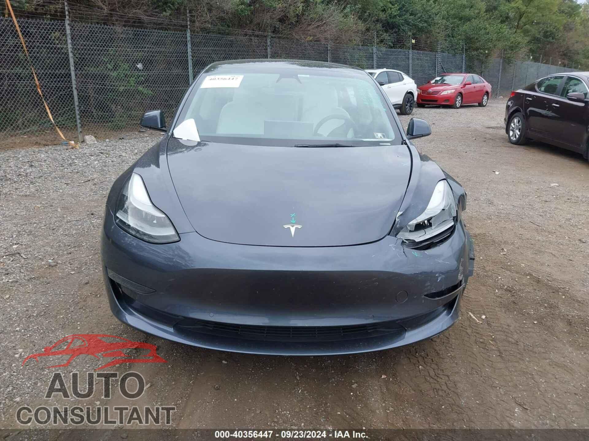 TESLA MODEL 3 2021 - 5YJ3E1EA5MF097208