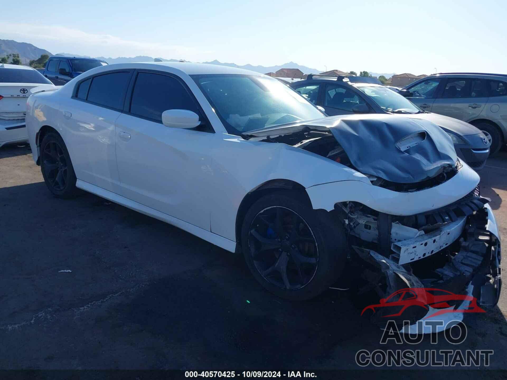 DODGE CHARGER 2019 - 2C3CDXHG1KH684992