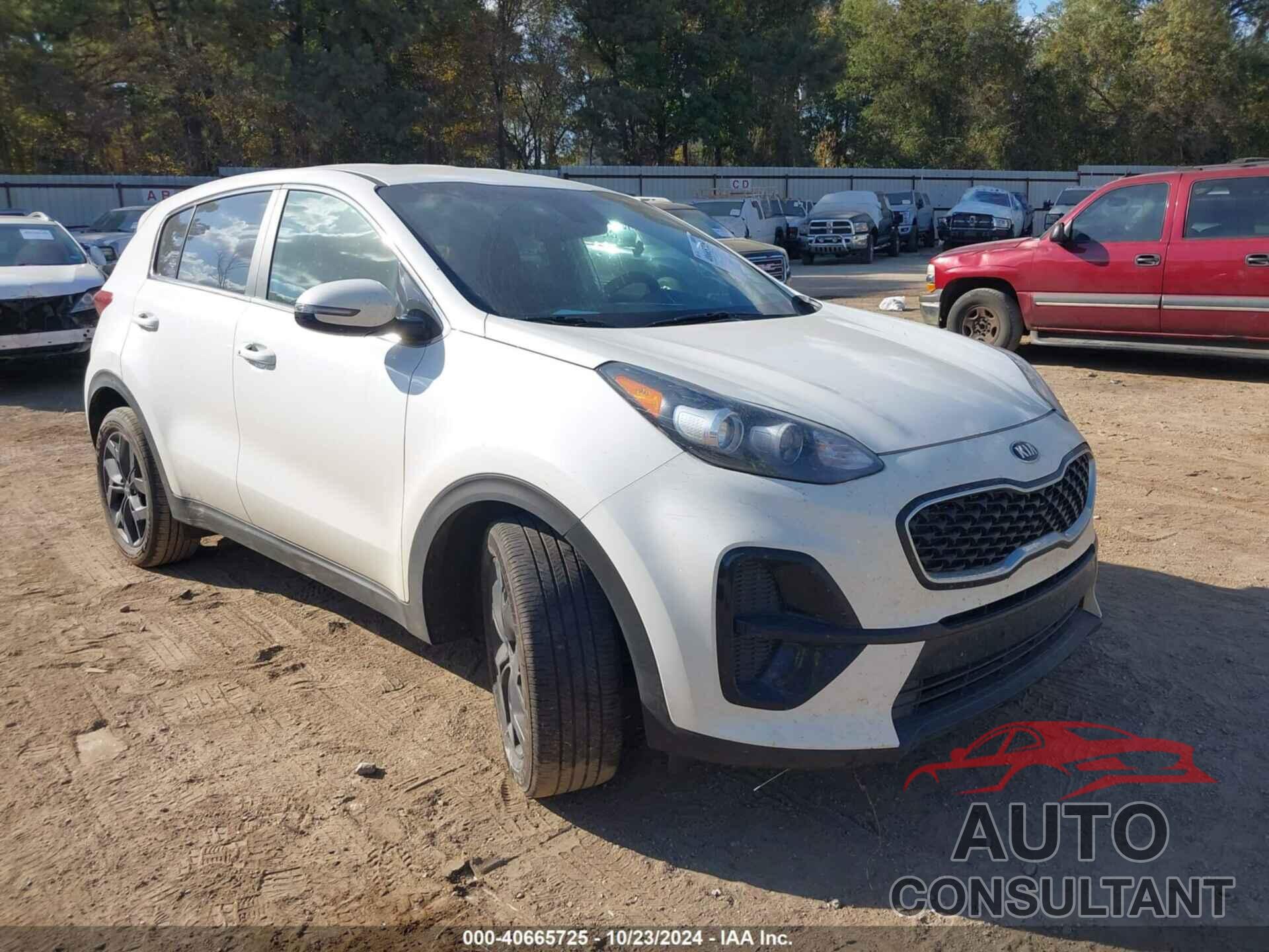 KIA SPORTAGE 2022 - KNDPM3AC4N7998939