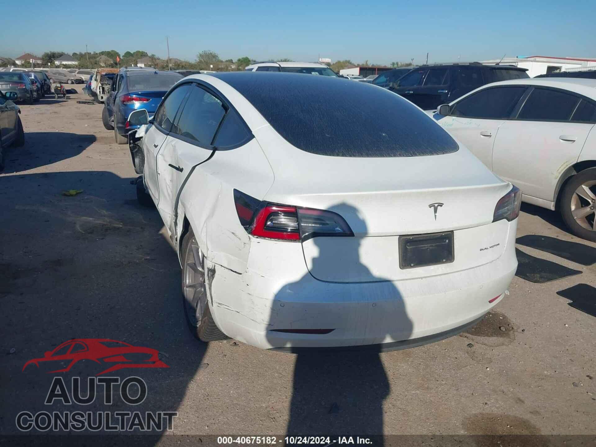 TESLA MODEL 3 2021 - 5YJ3E1EB6MF055607