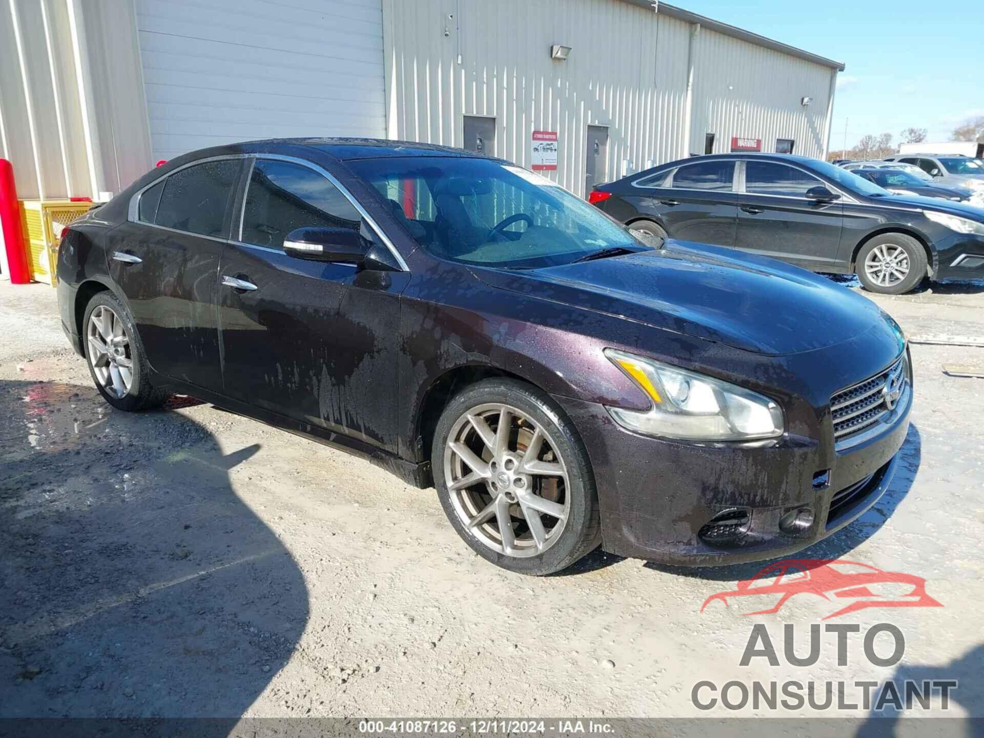 NISSAN MAXIMA 2010 - 1N4AA5AP8AC819628