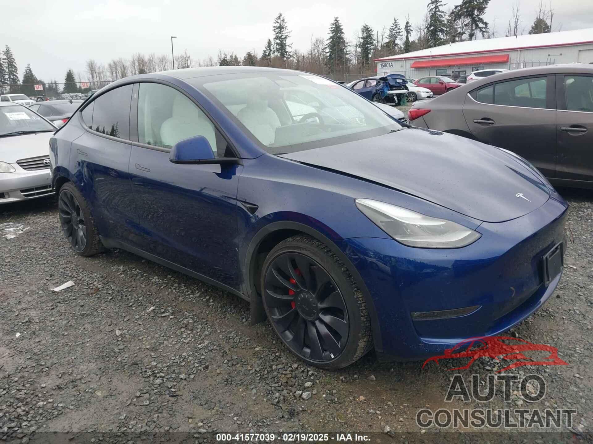 TESLA MODEL Y 2022 - 7SAYGDEF2NF404819