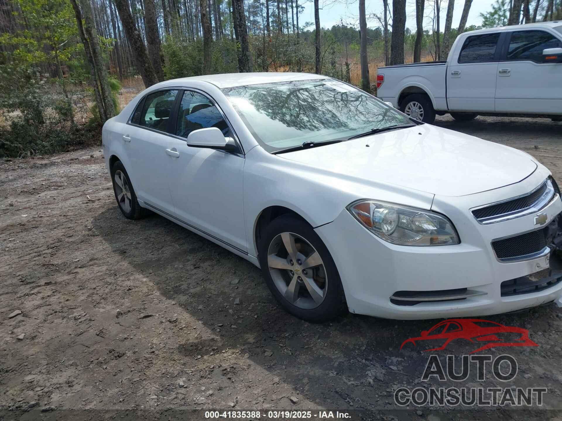 CHEVROLET MALIBU 2011 - 1G1ZC5E10BF170462
