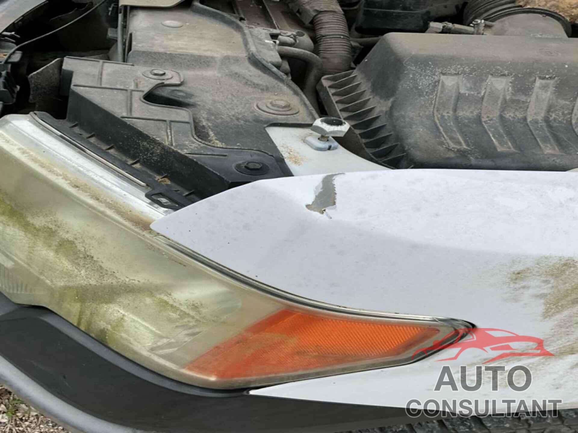 FORD F150 2014 - 1FTMF1CM2EKG47919