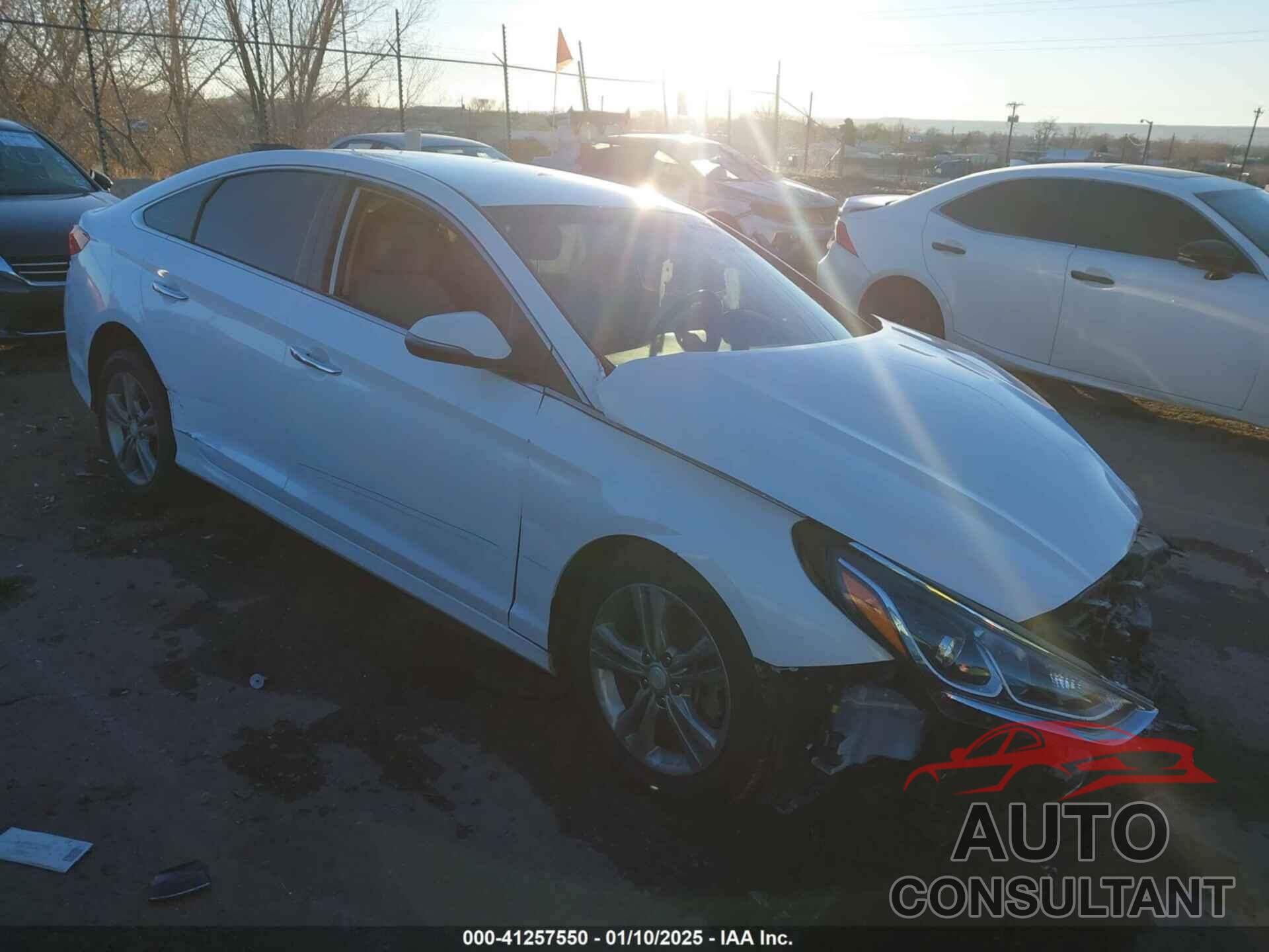 HYUNDAI SONATA 2019 - 5NPE34AF2KH763571