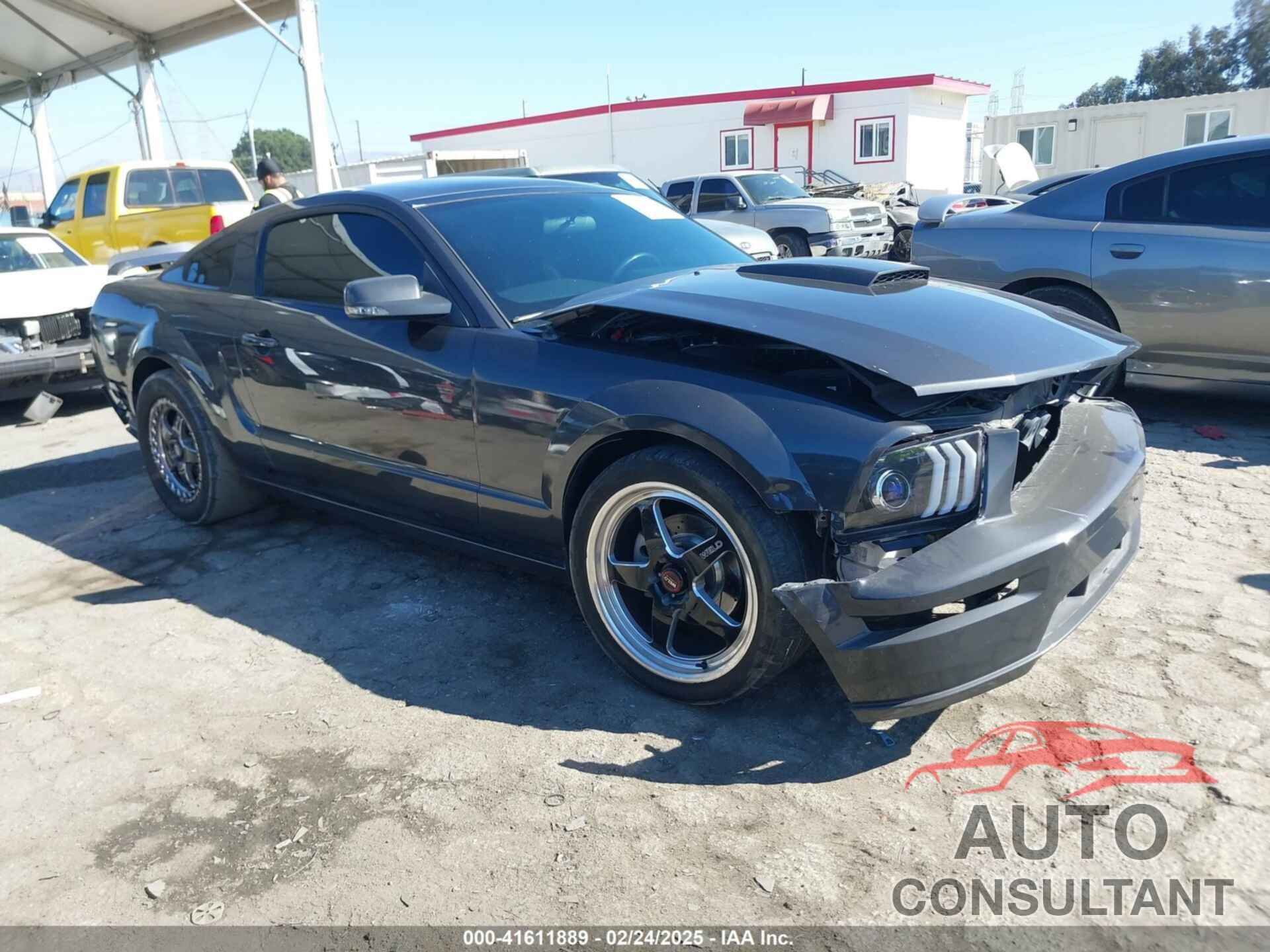 FORD MUSTANG 2009 - 1ZVHT82H895128608