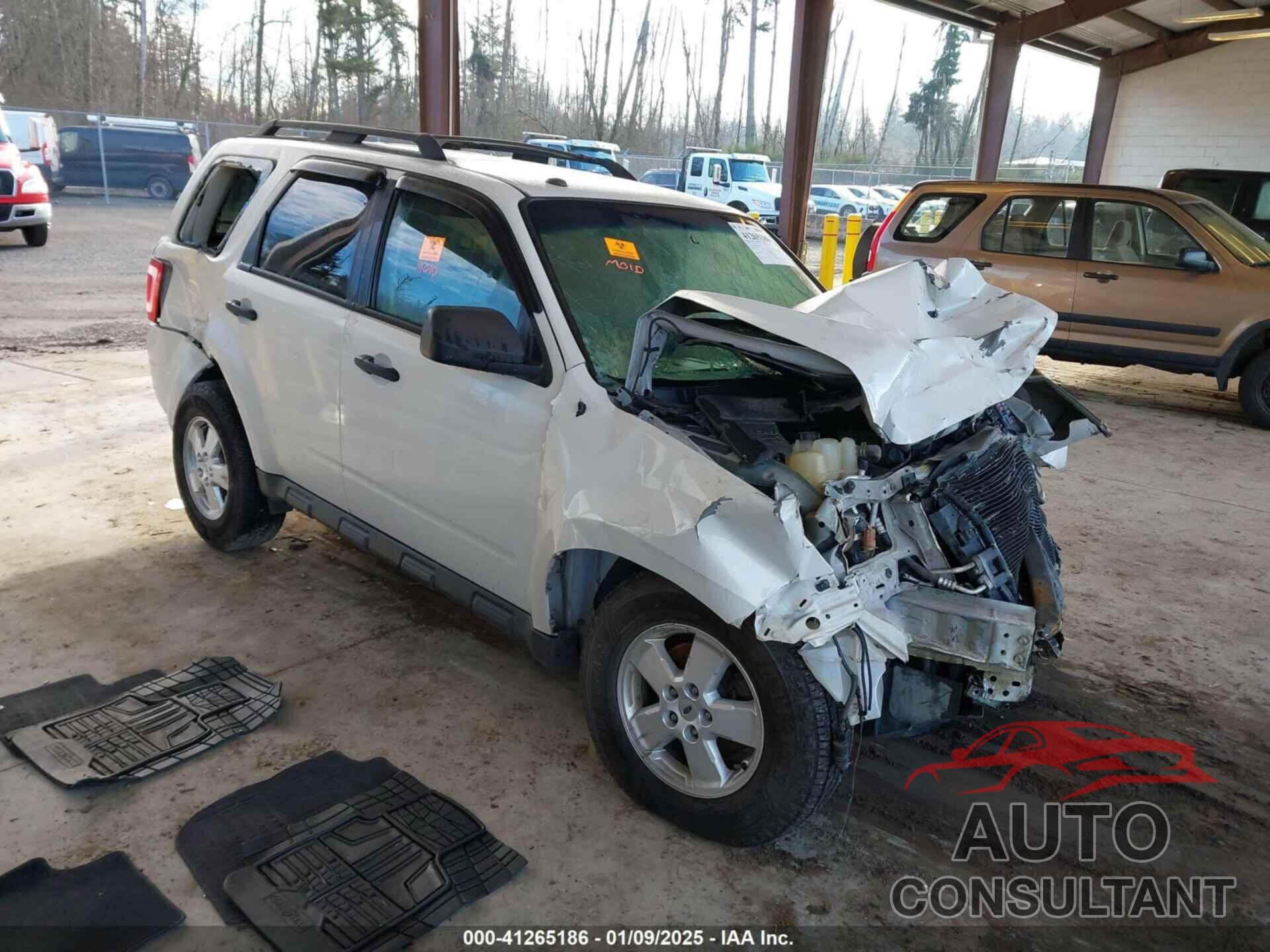 FORD ESCAPE 2010 - 1FMCU9DG2AKC45302