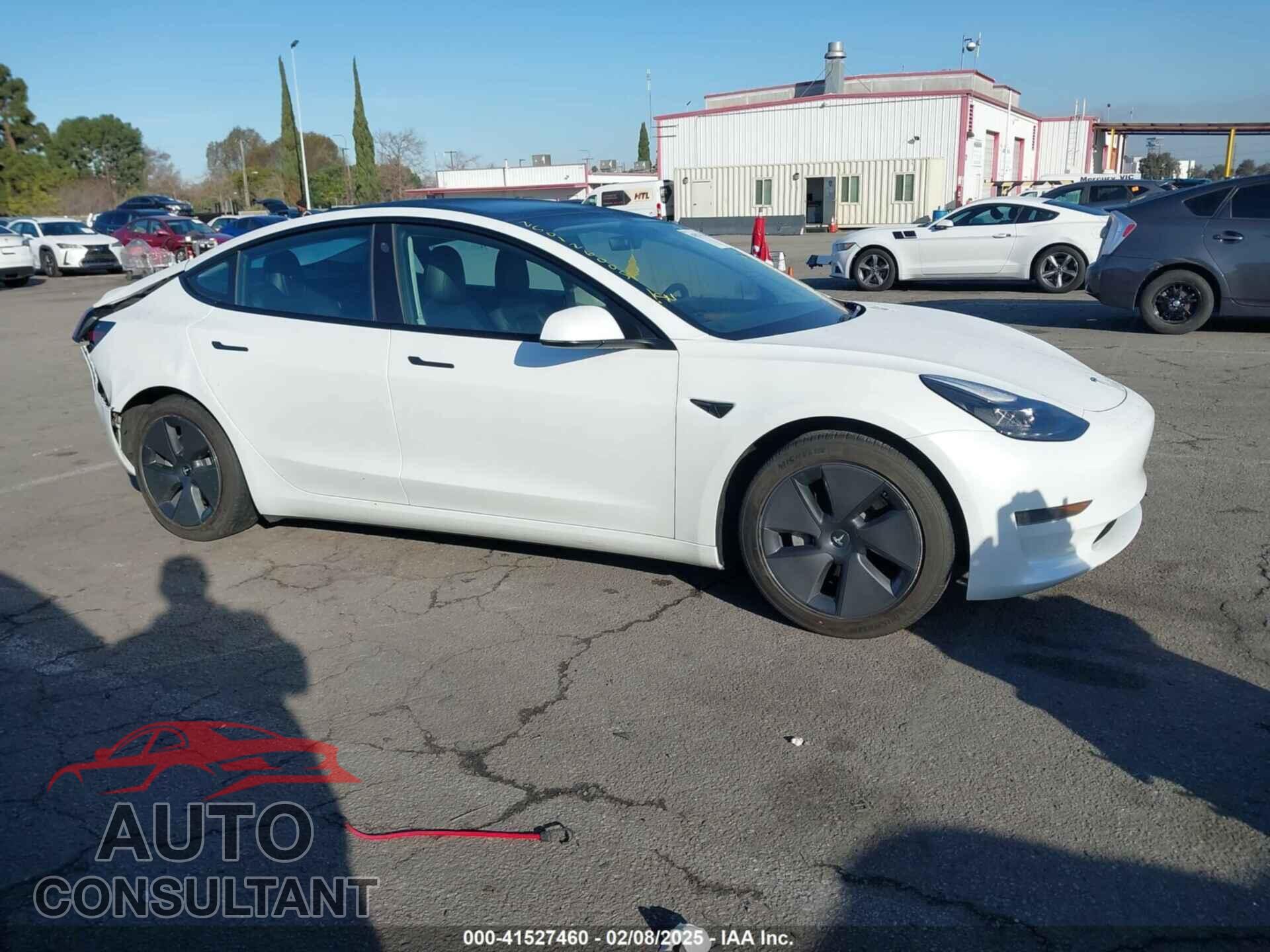 TESLA MODEL 3 2021 - 5YJ3E1EA9MF998081