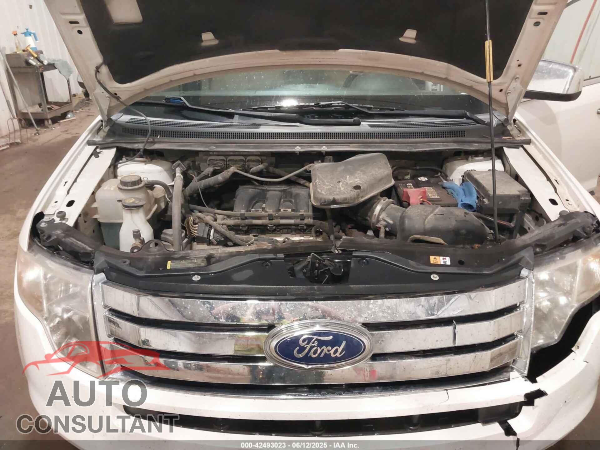 FORD EDGE 2010 - 2FMDK4KC3ABA65818
