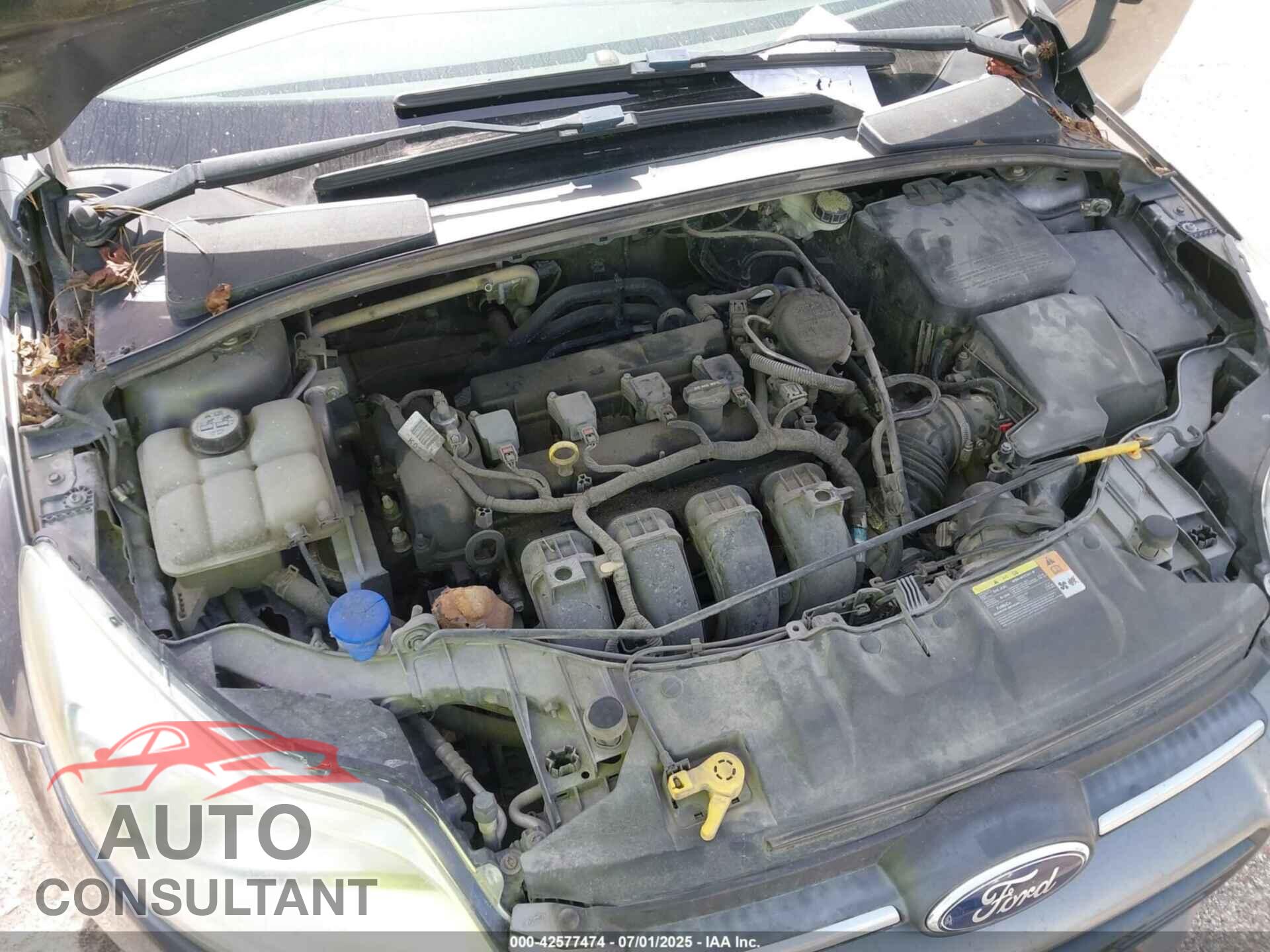 FORD FOCUS 2013 - 1FADP3F23DL131327