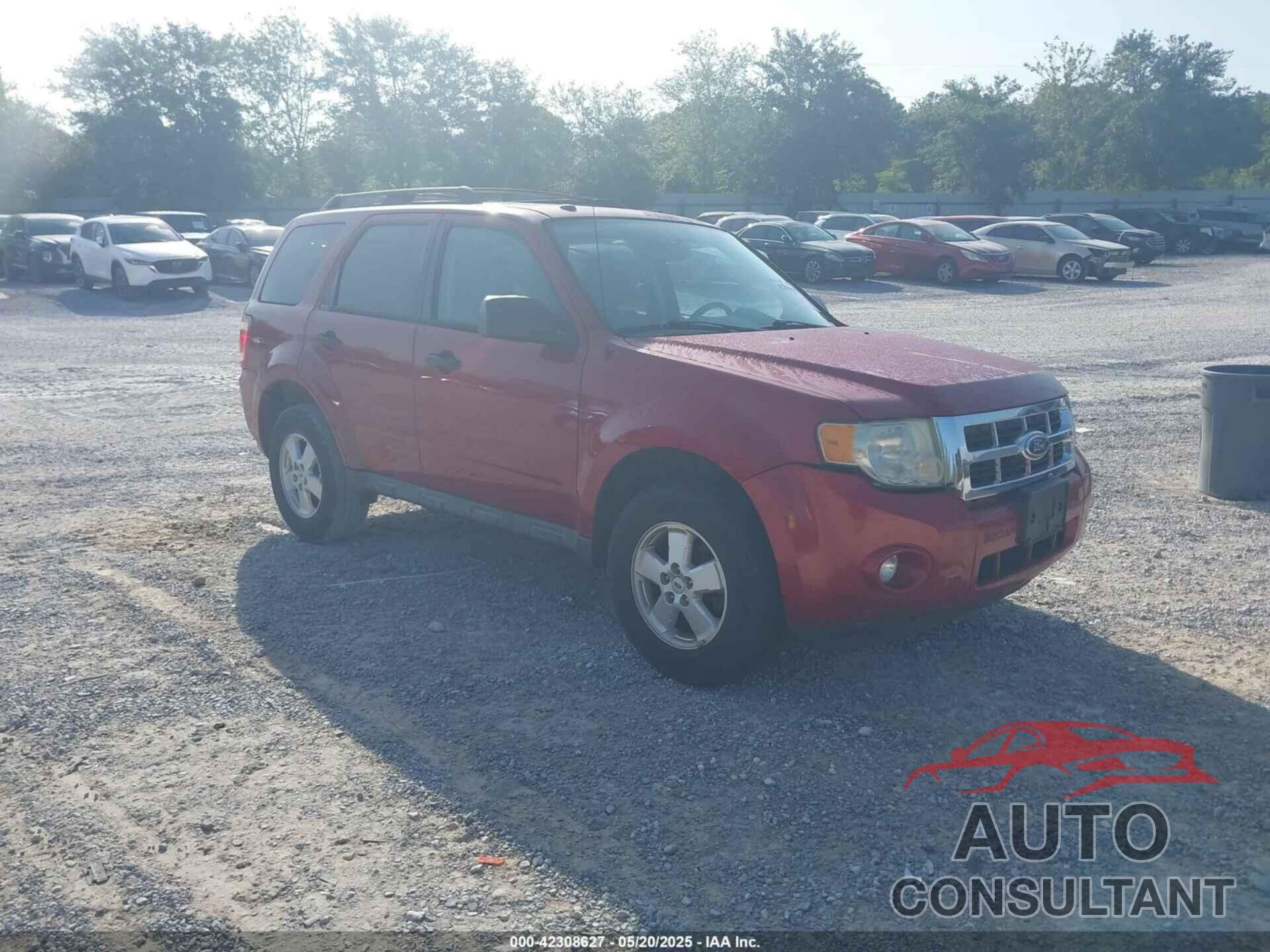 FORD ESCAPE 2011 - 1FMCU0DG8BKA92826