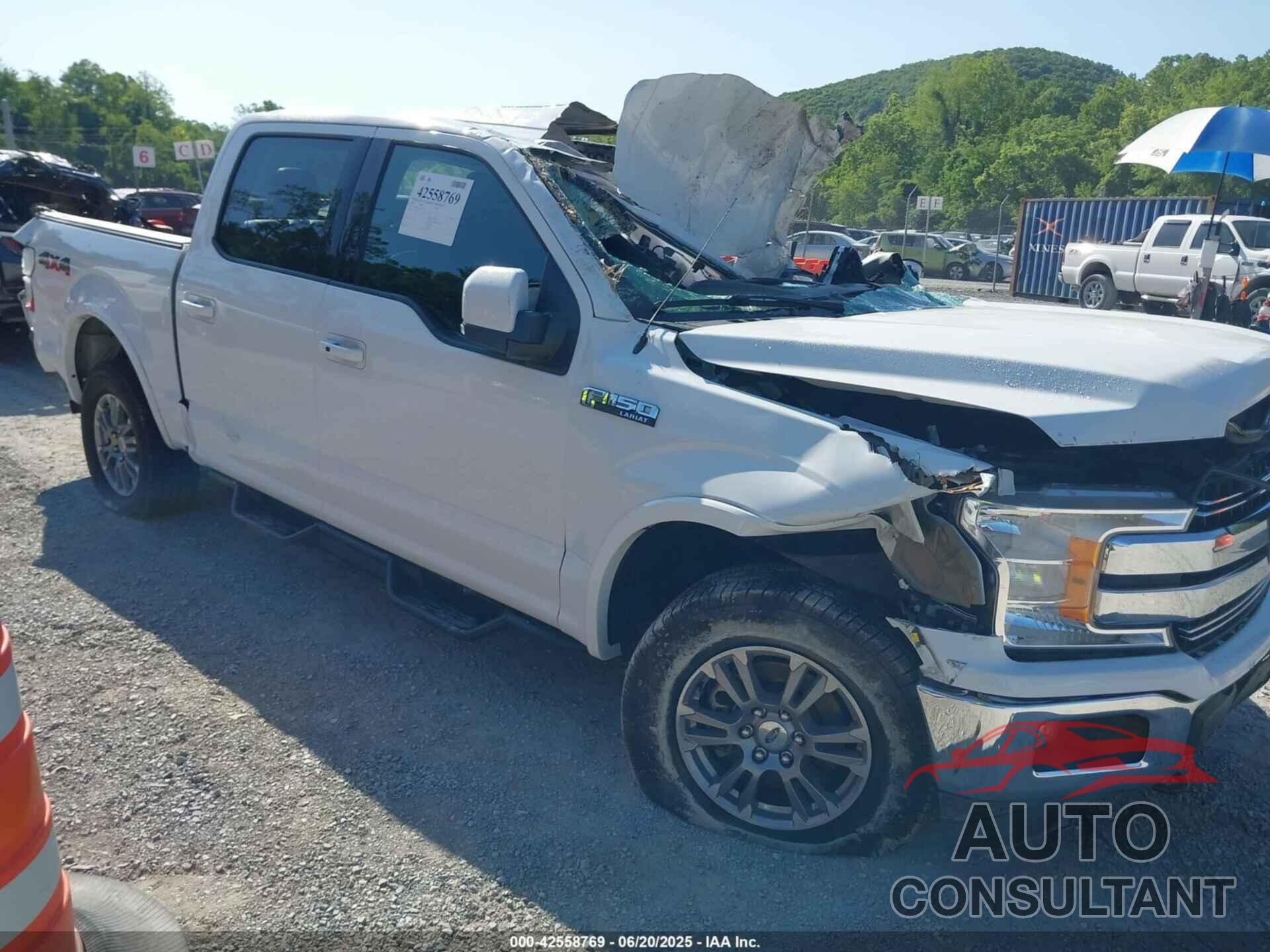 FORD F150 2020 - 1FTEW1E5XLFA25729