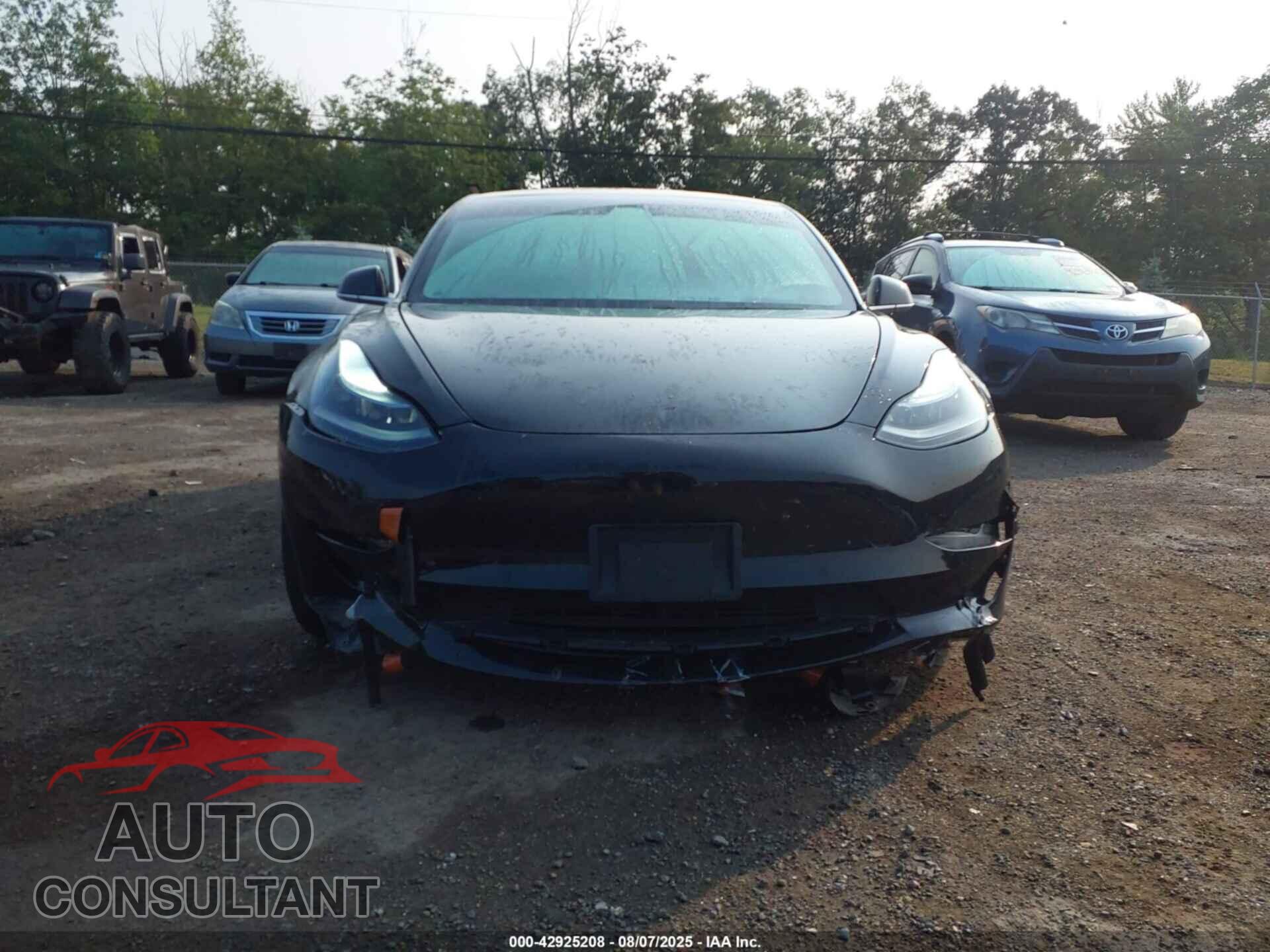 TESLA MODEL 3 2019 - 5YJ3E1EB0KF384879