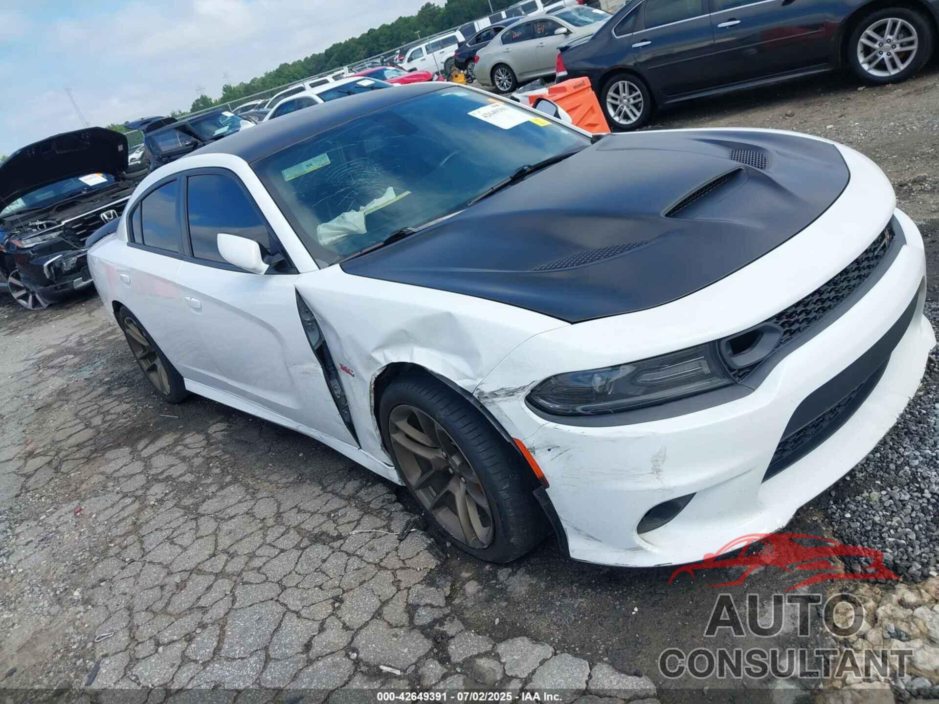 DODGE CHARGER 2019 - 2C3CDXGJ7KH646745
