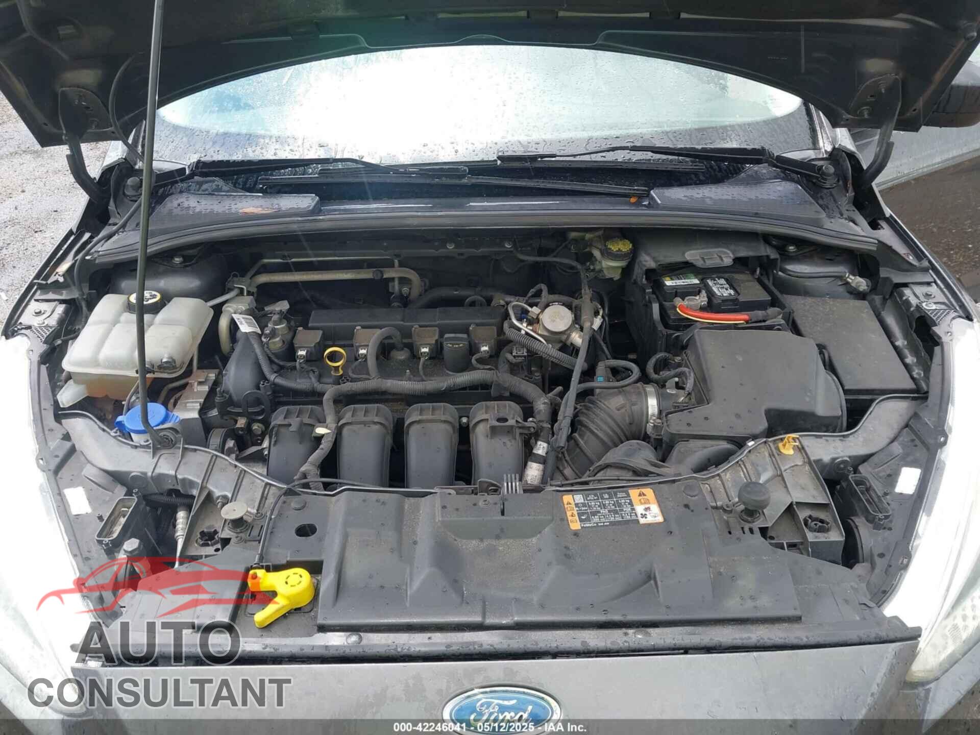 FORD FOCUS 2016 - 1FADP3E20GL335170