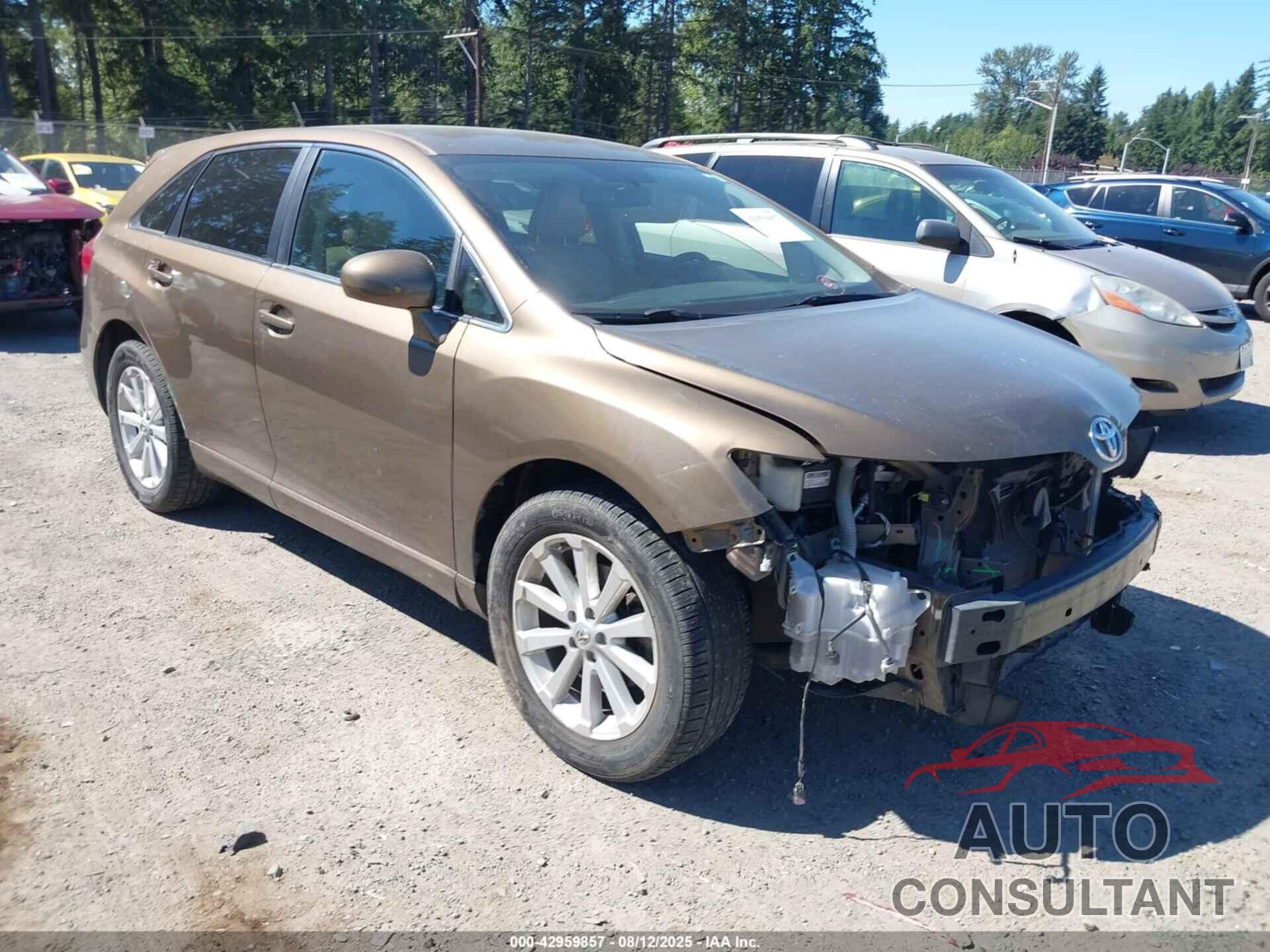 TOYOTA VENZA 2009 - 4T3BE11A99U004709