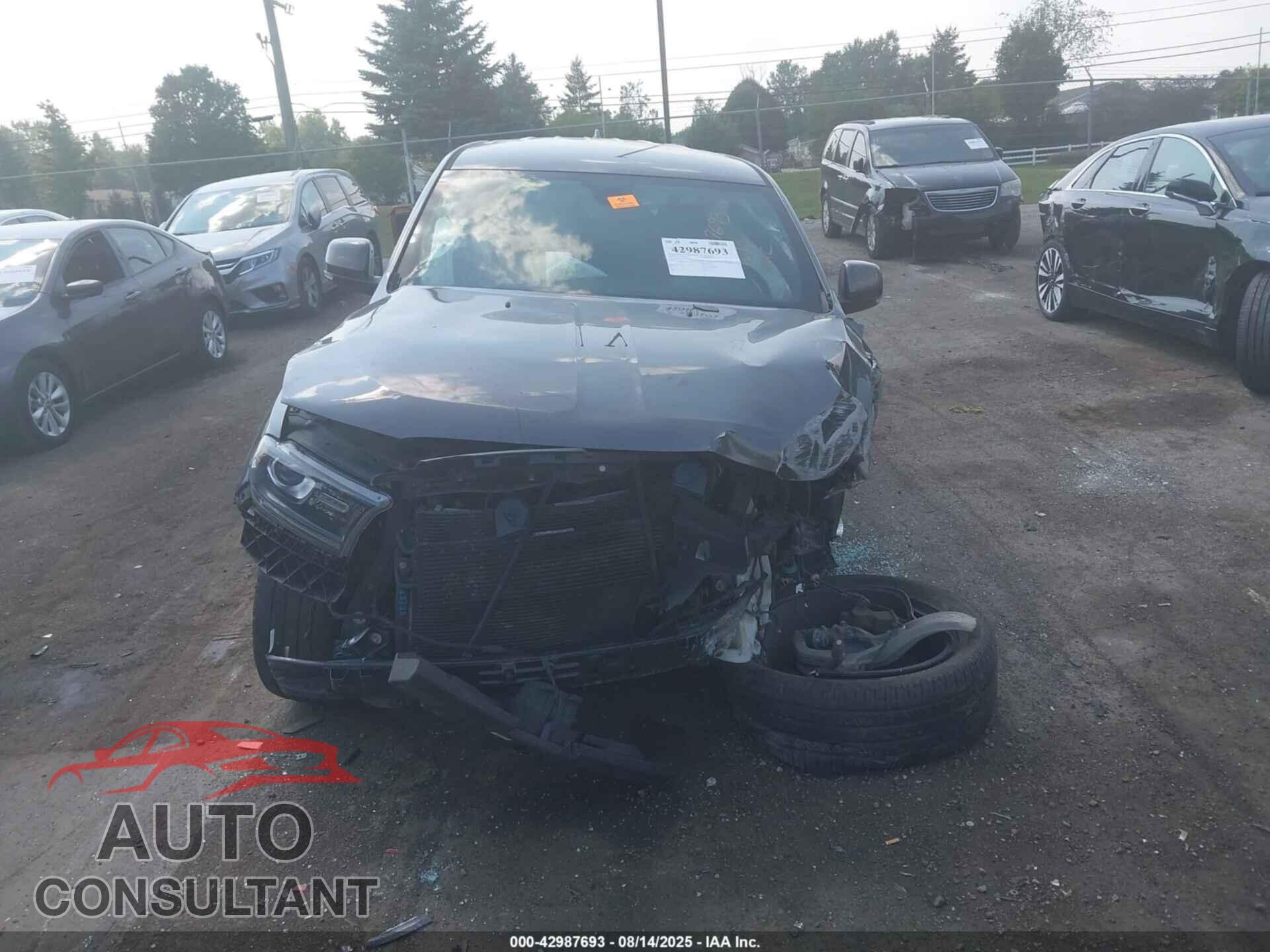 DODGE DURANGO 2019 - 1C4RDHDG2KC824438
