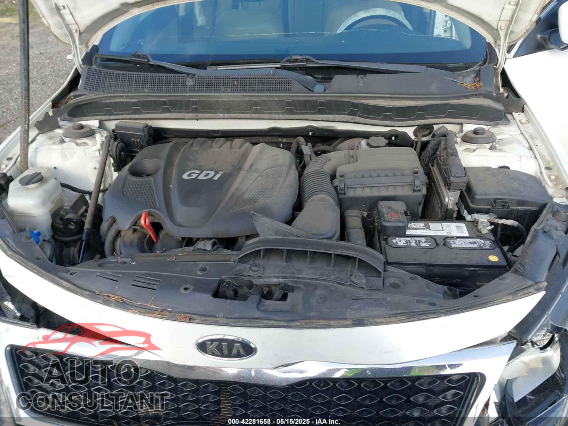 KIA OPTIMA 2011 - KNAGN4A73B5119084
